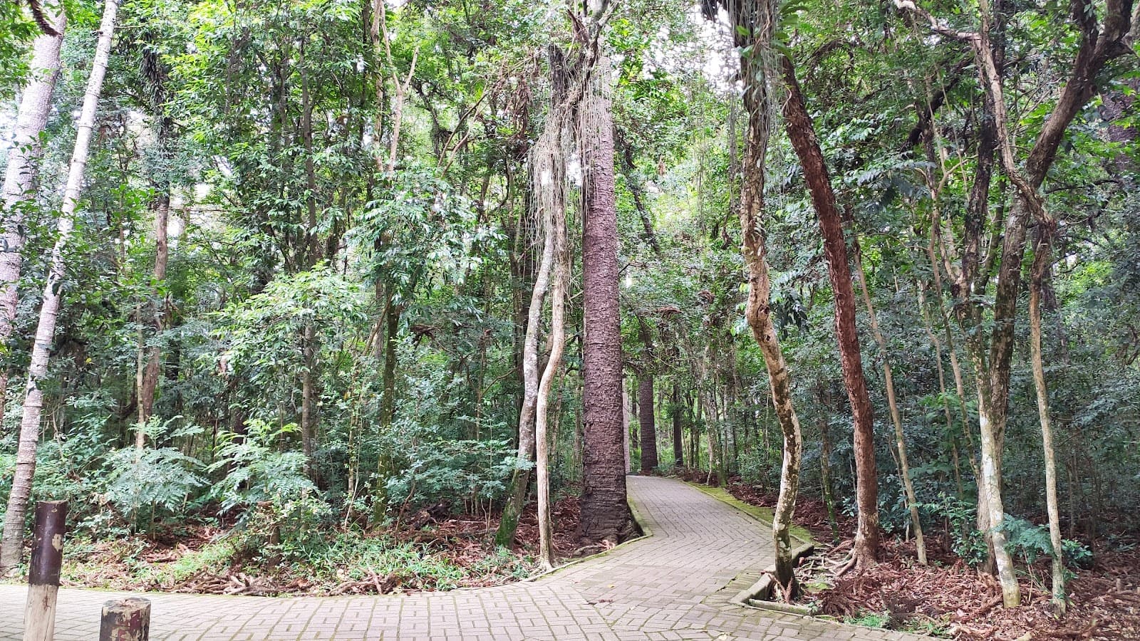 Parque da Fonte - Image 1