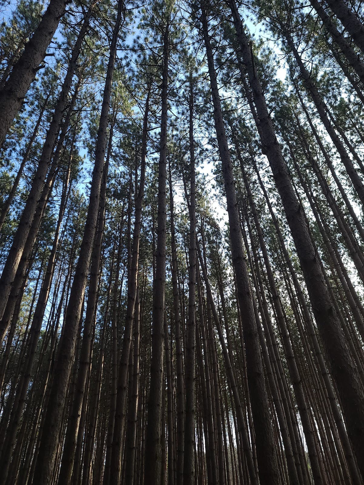 Genesee County Park & Forest - Image 1
