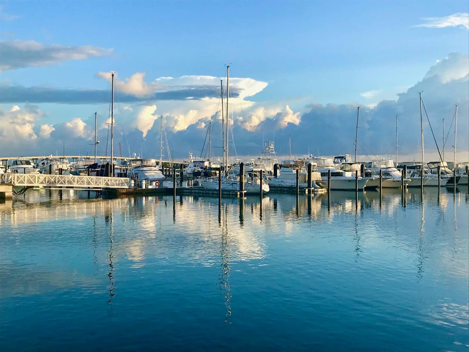 Waterfront Dining & Views