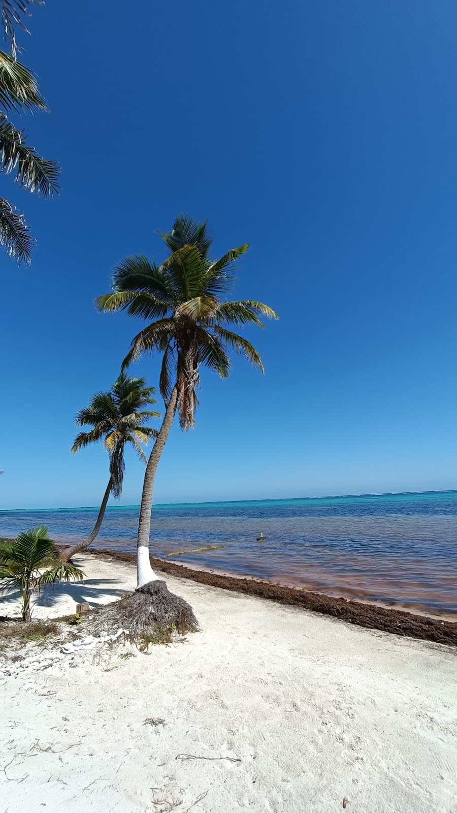 Xcalak Mexico - Image 1