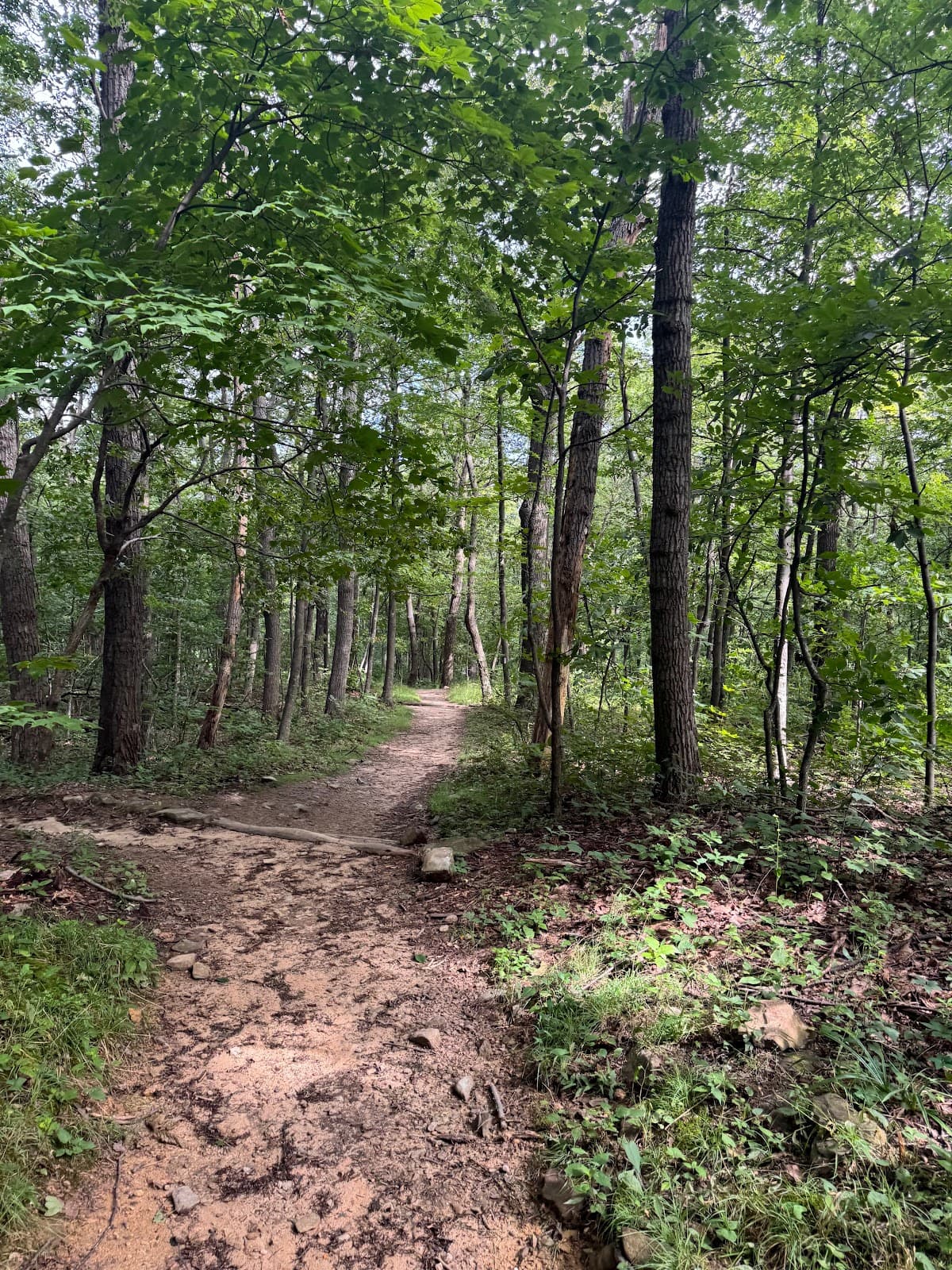 Compton Peak - Image 1