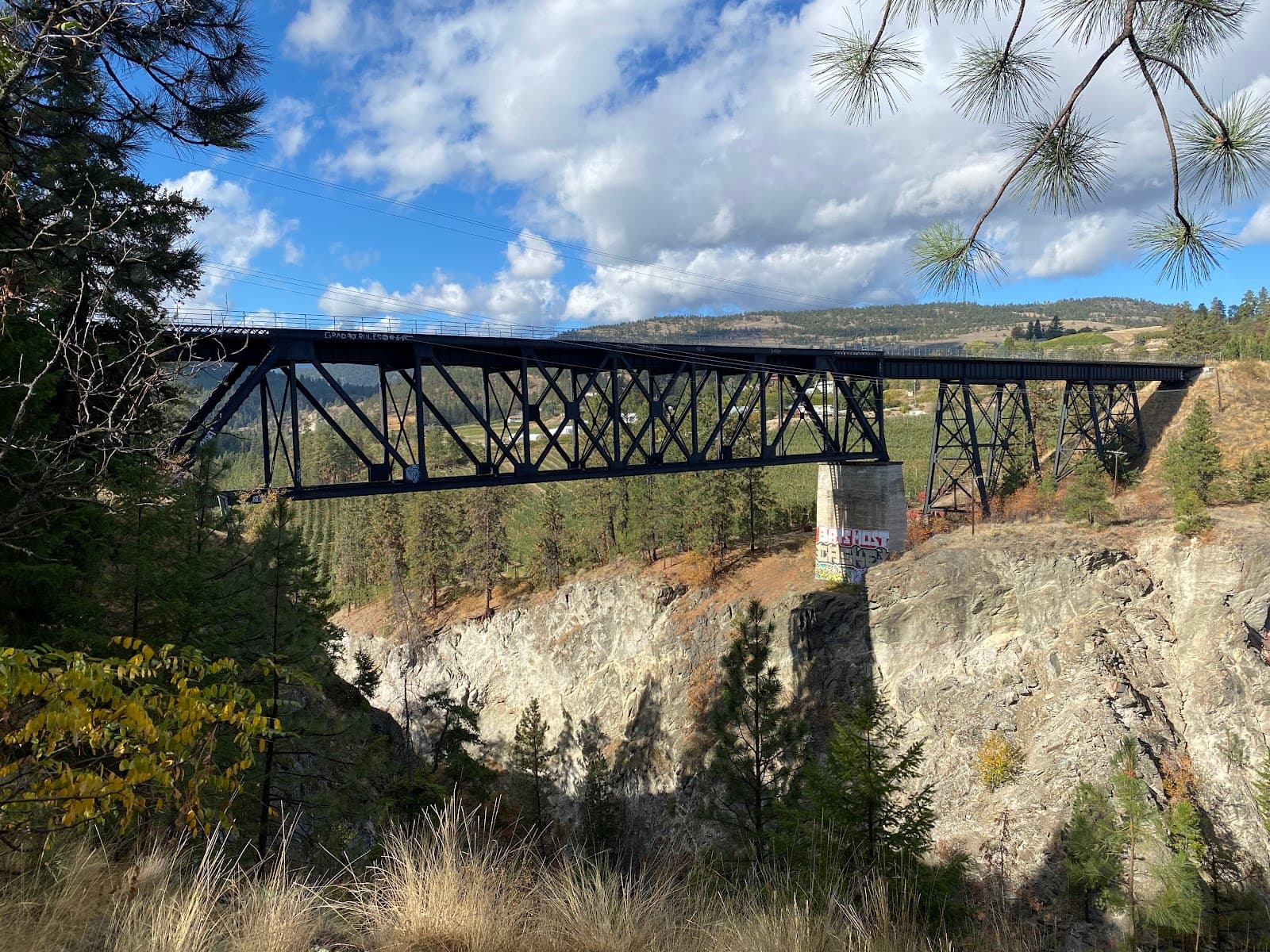 Trout Creek Trestle Bridge - Image 1
