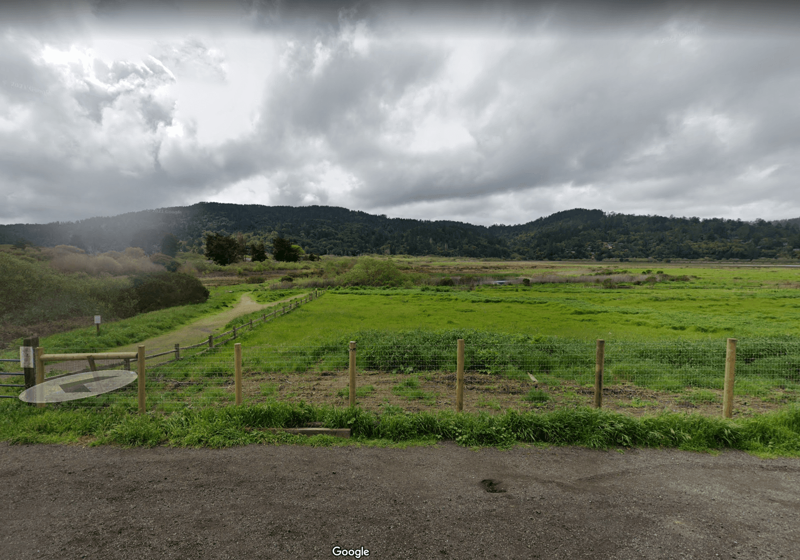 River Otter Sightings