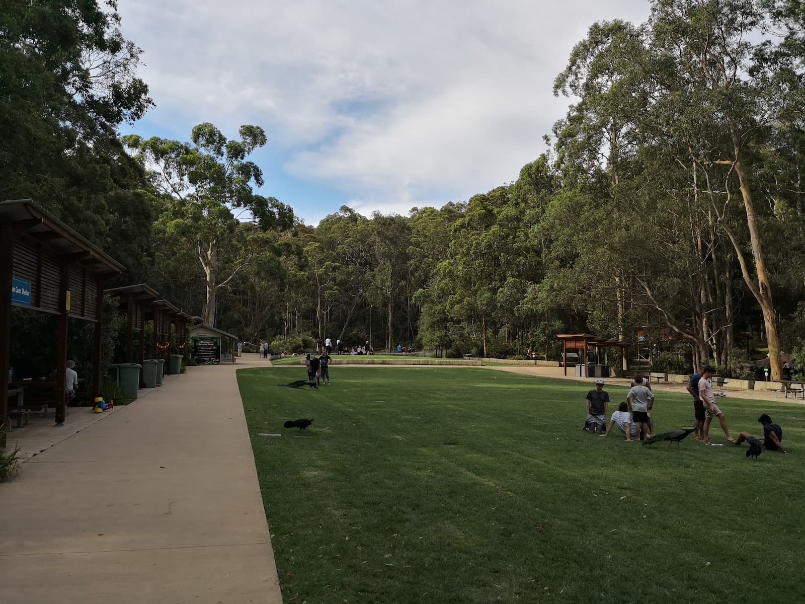Blackbutt Reserve - Image 1