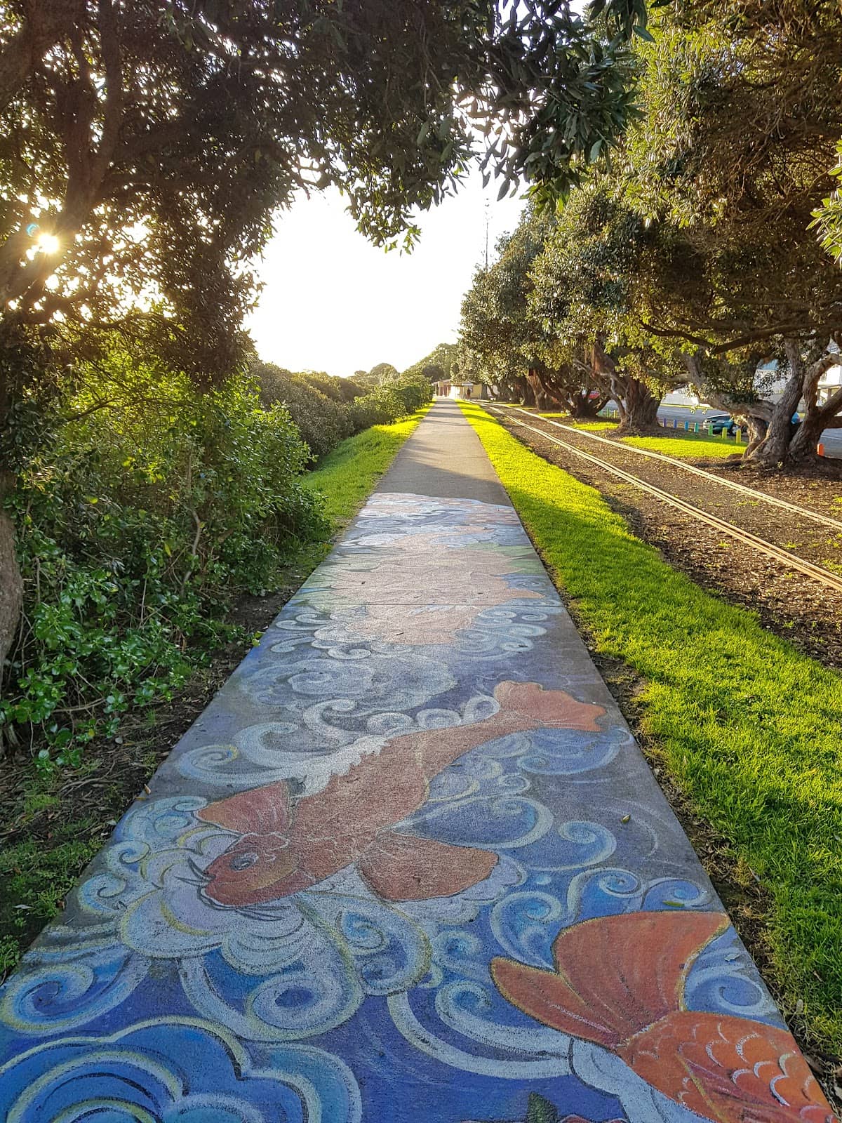 Picnic and Relaxation Spots