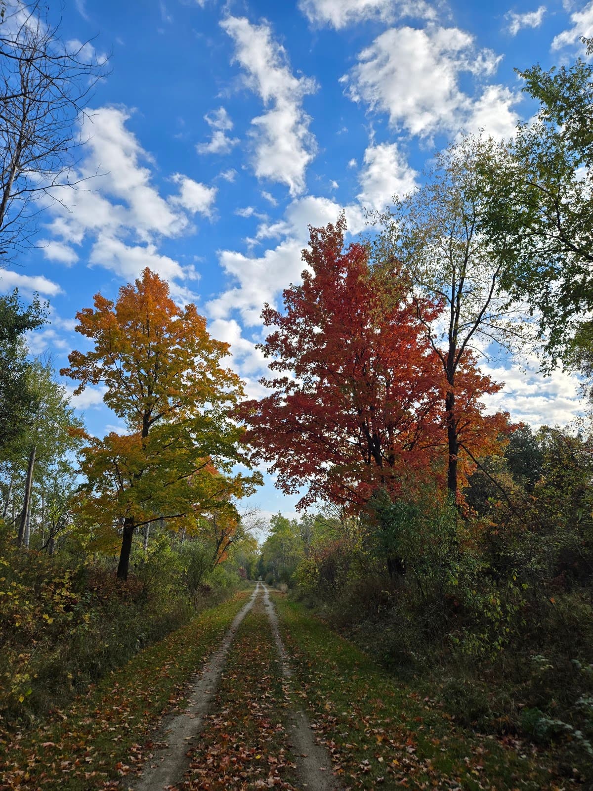 Ahnapee State Trail Sturgeon Bay Trailhead - Image 1