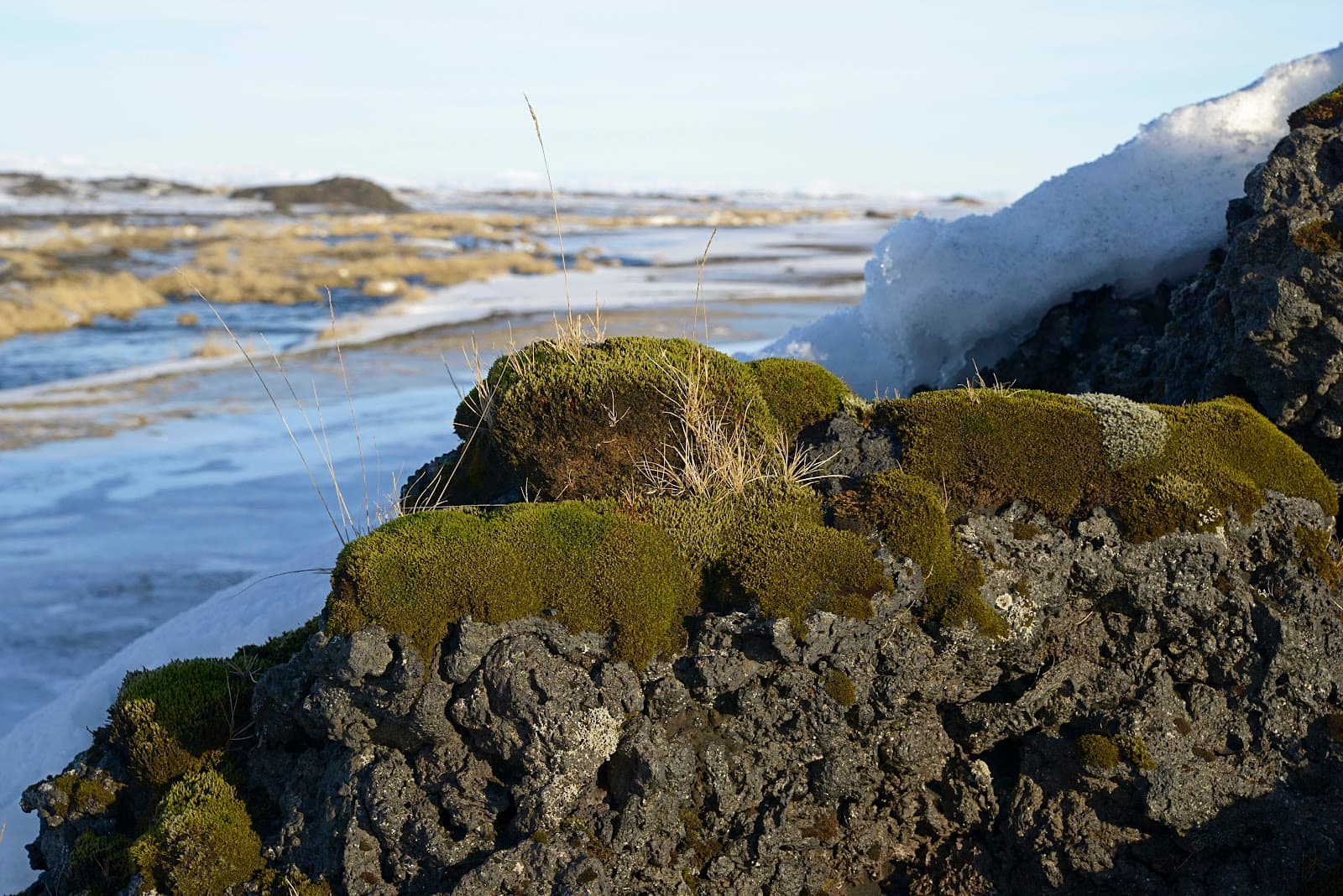 Mýrdalssandur and Hjörleifshöfði near Vík - Image 1