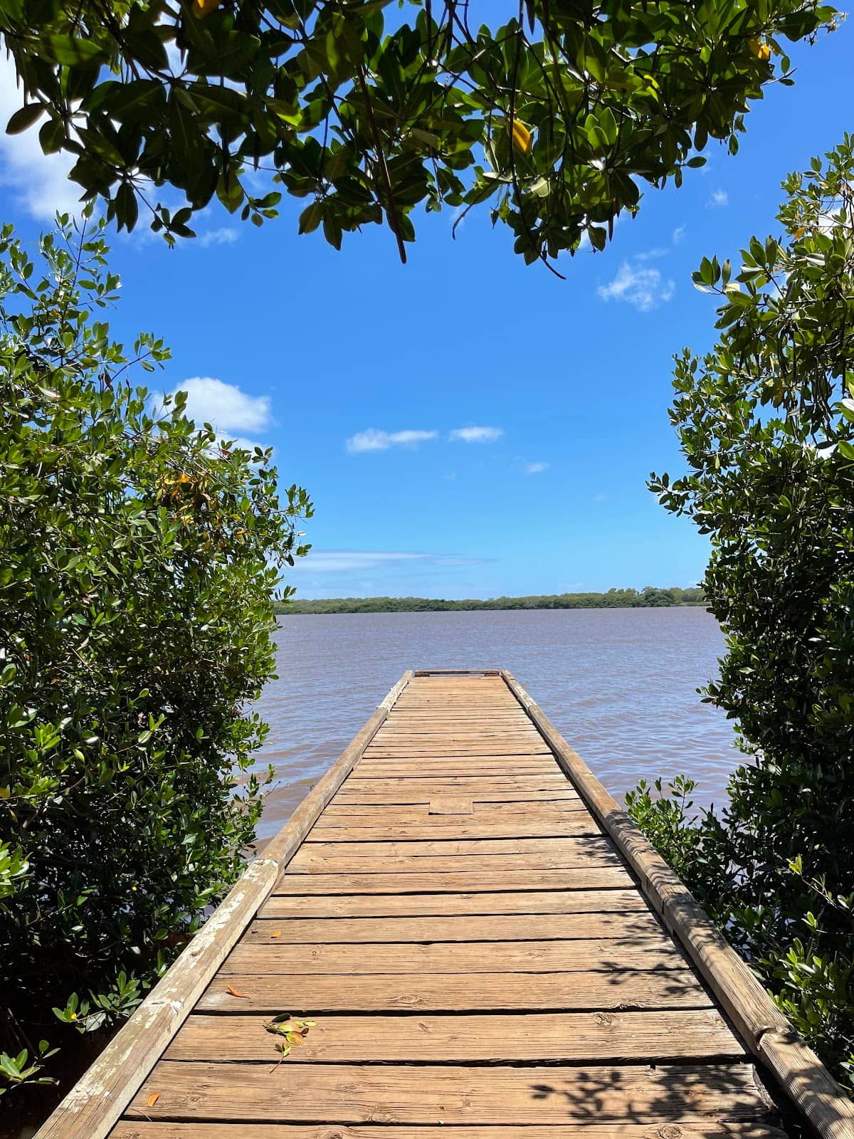 Community Restoration Efforts