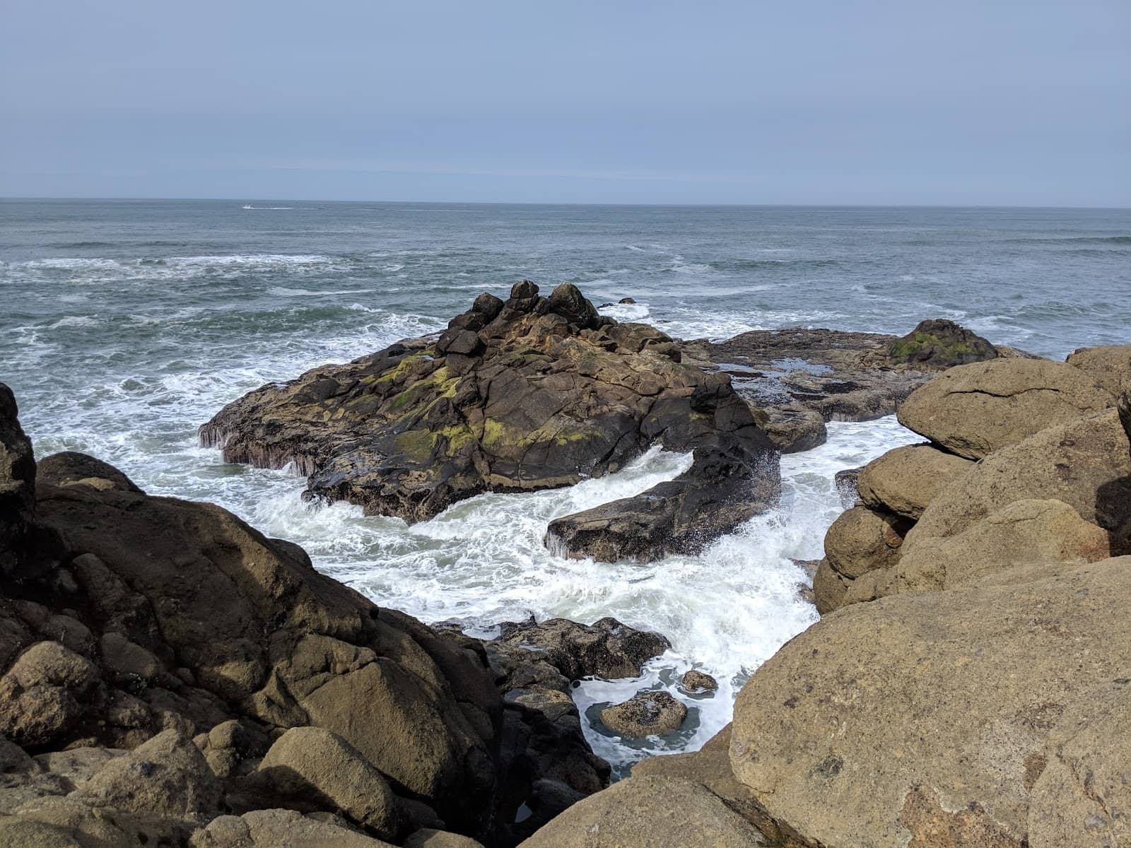 Tide Pool Exploration