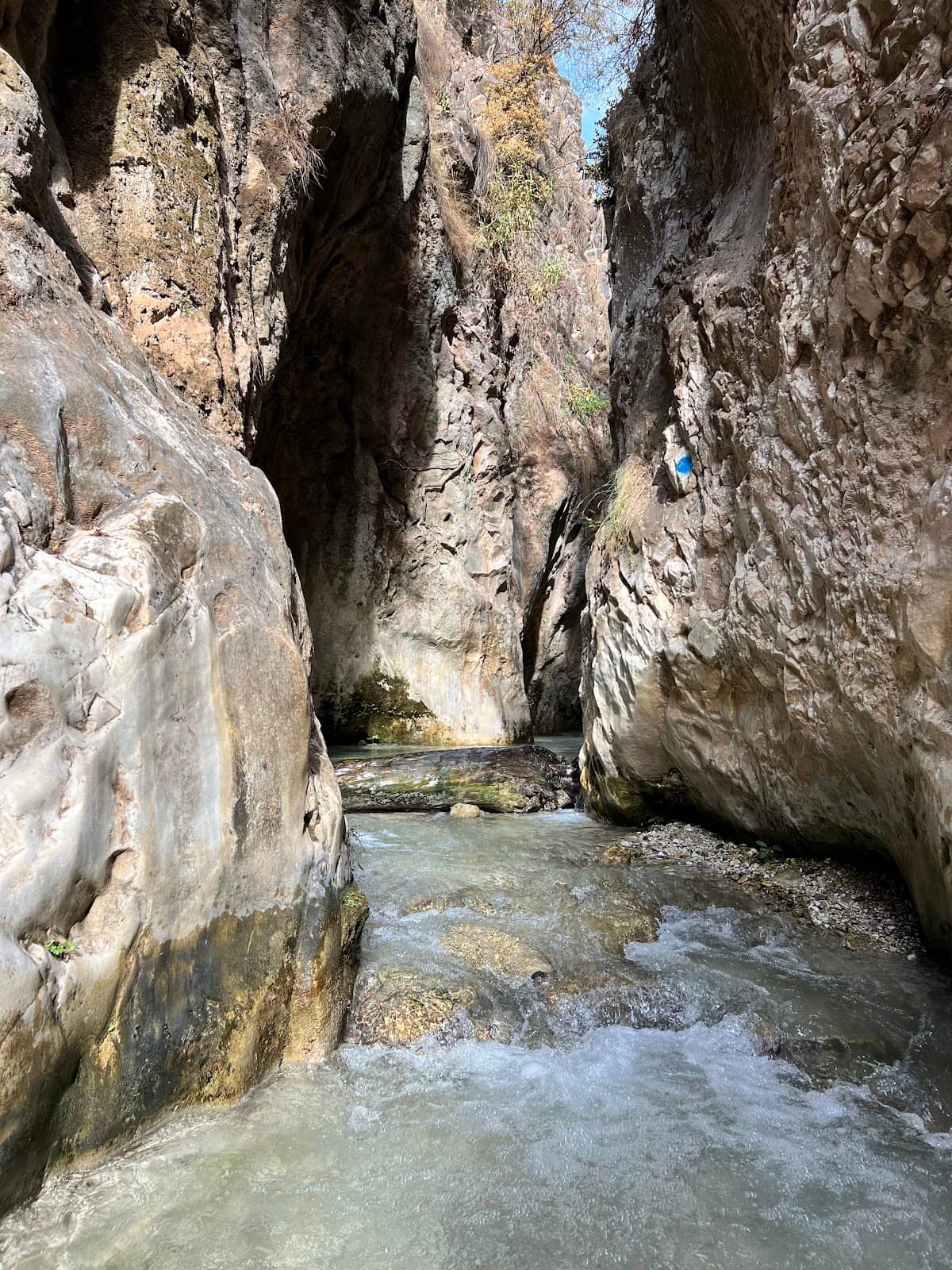 Vertical photo