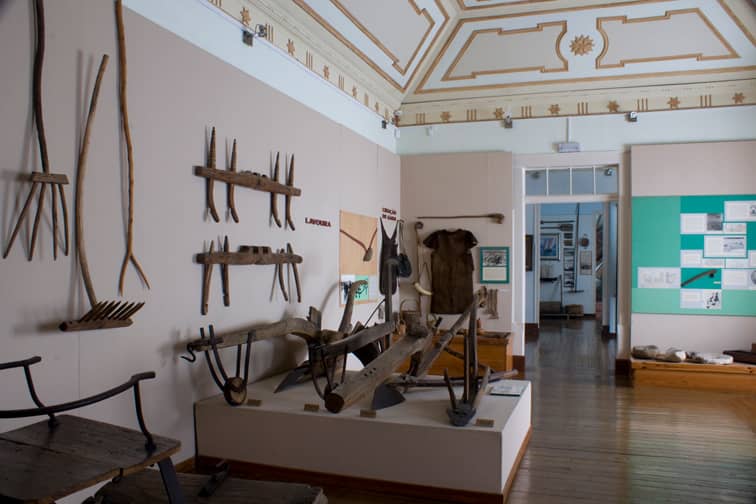 Local Artists' Modern Works
