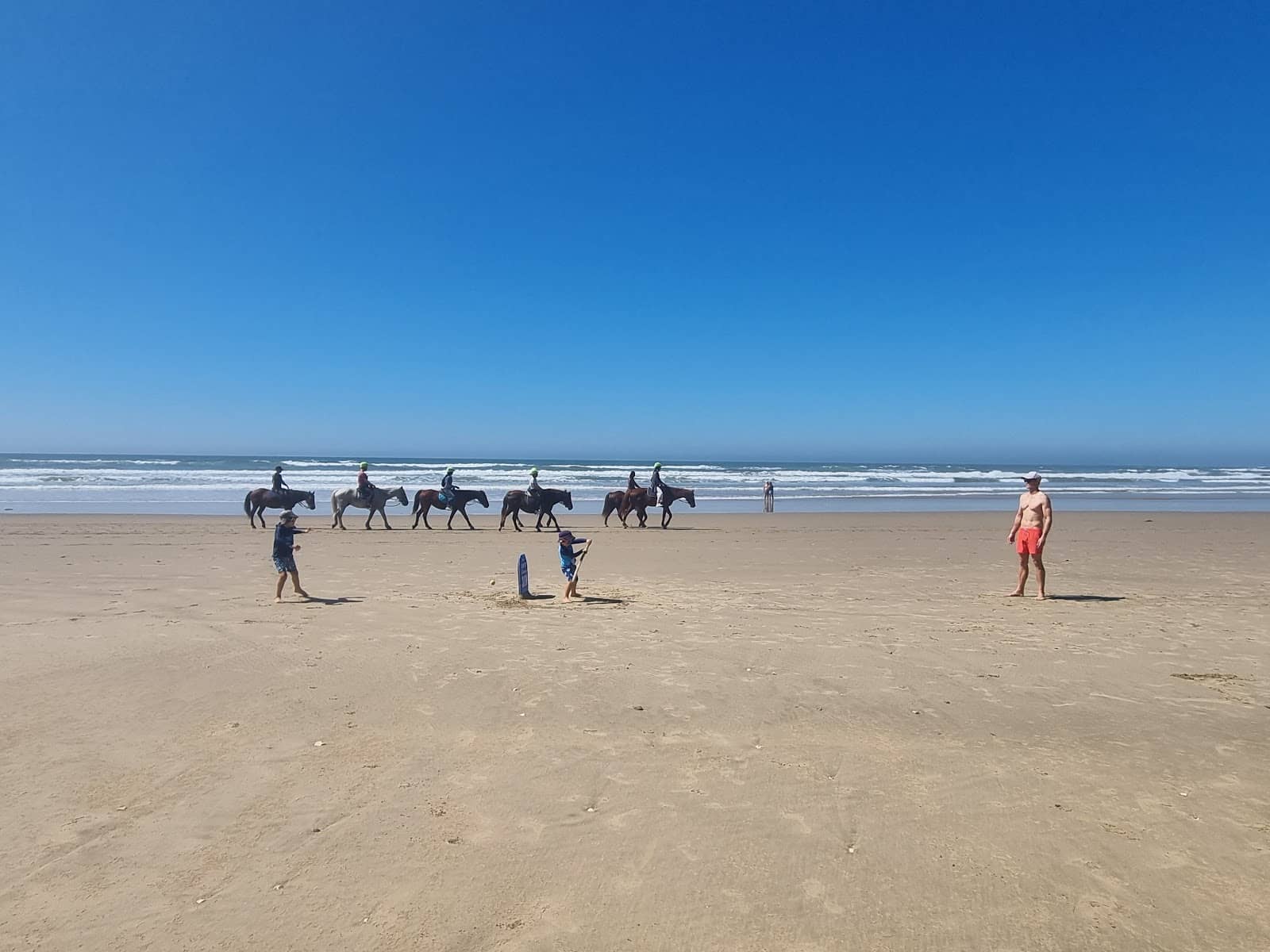 Pet-Friendly Freedom