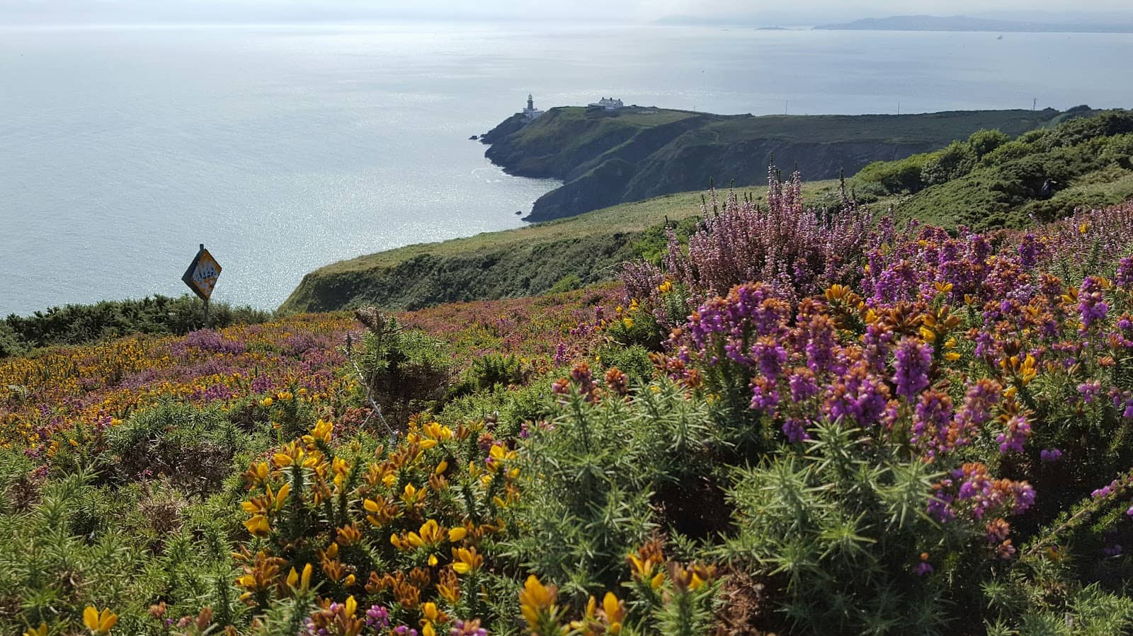 Fresh Seafood Experience