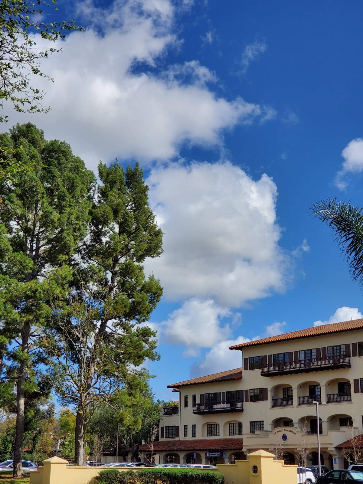 Whimsical & Modern Art