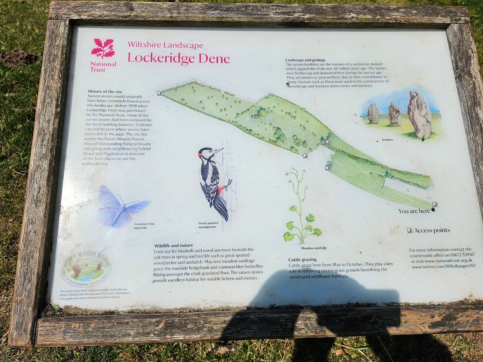 Scenic Walking Trails