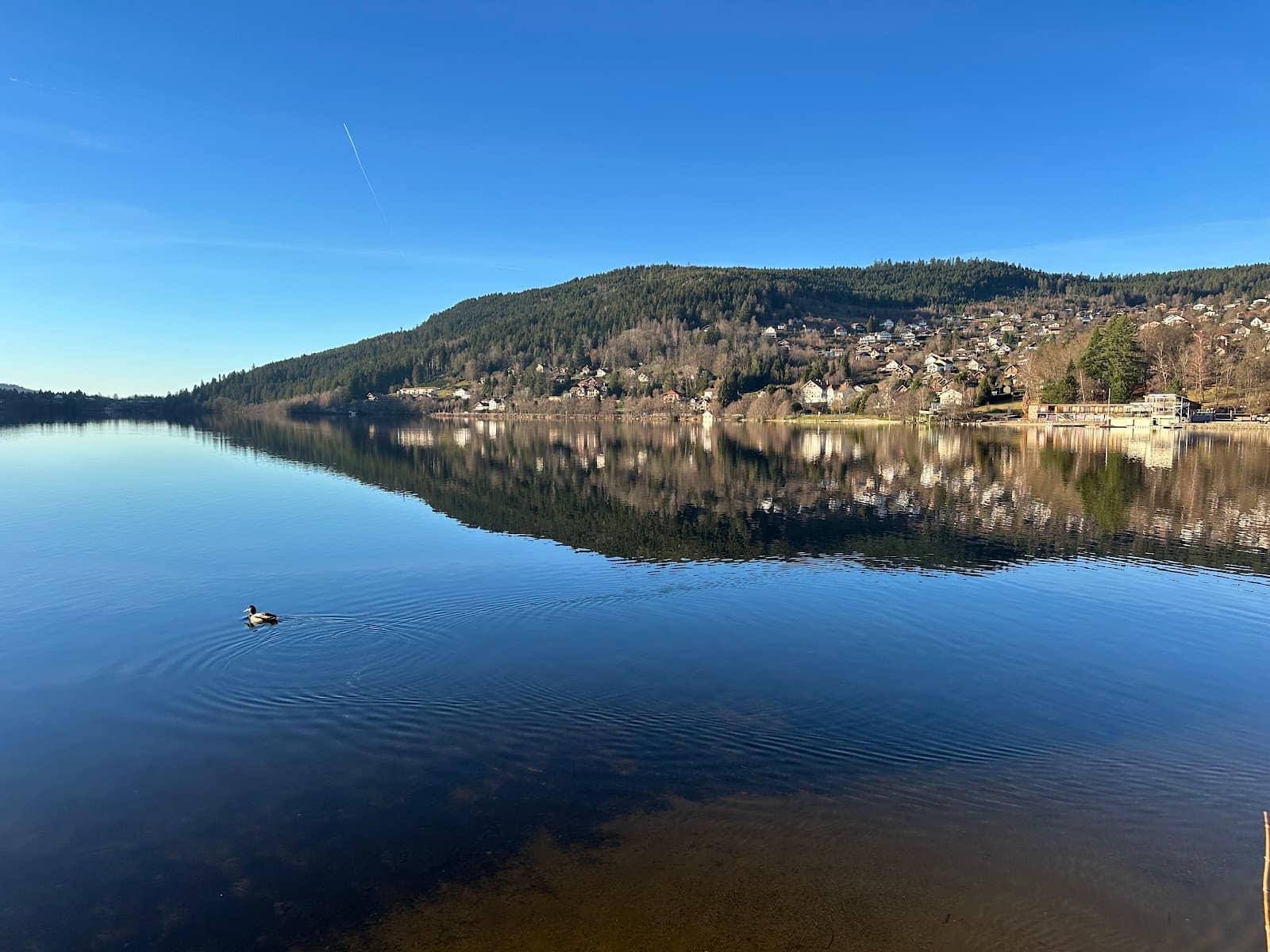 Leisure Activities Hub