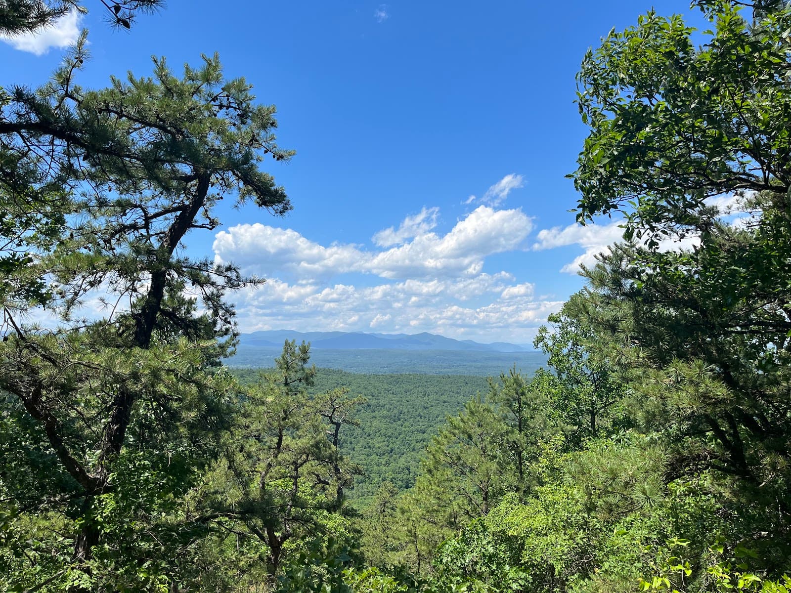 The Trapps - Image 1