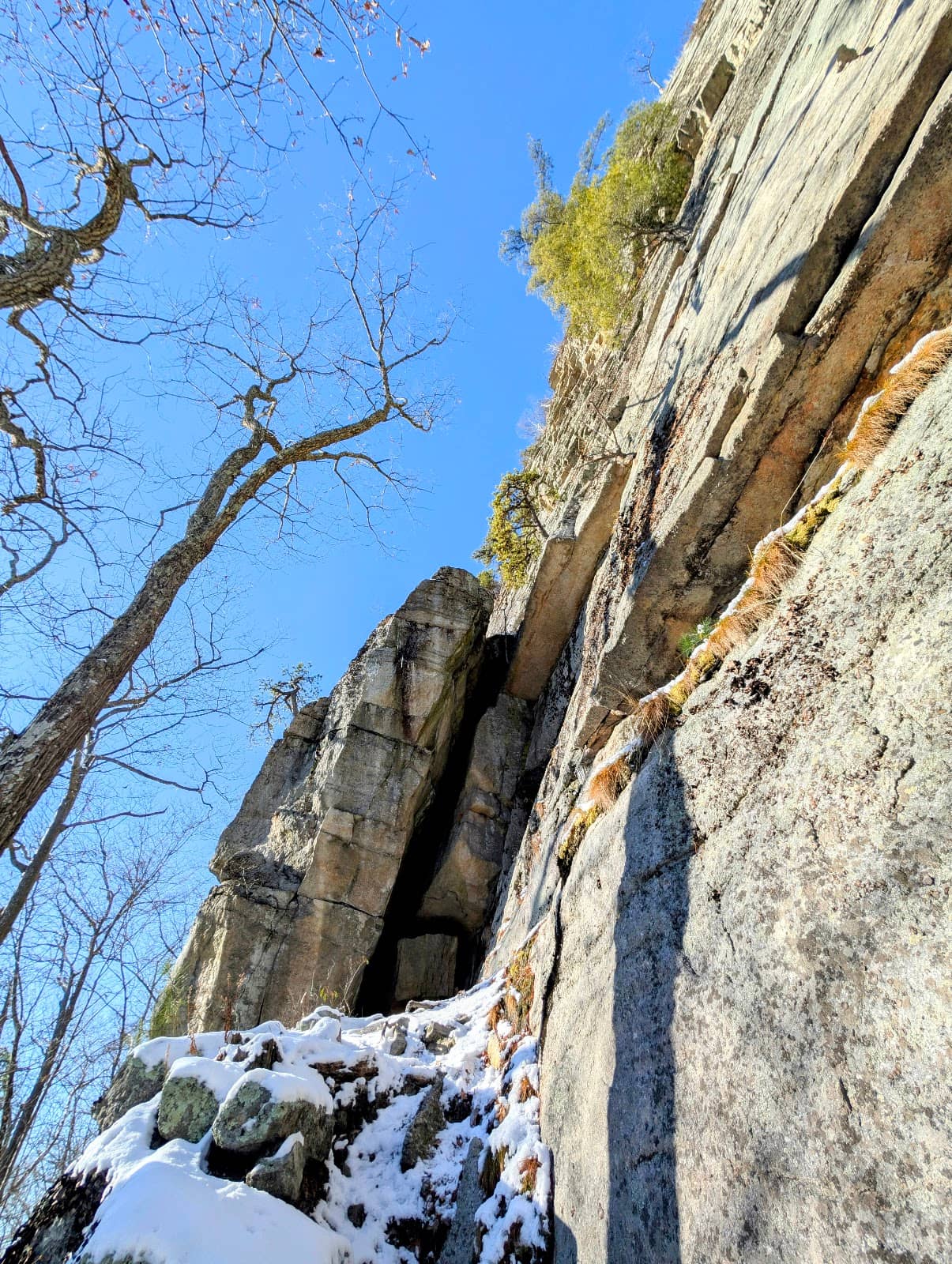 Vertical photo