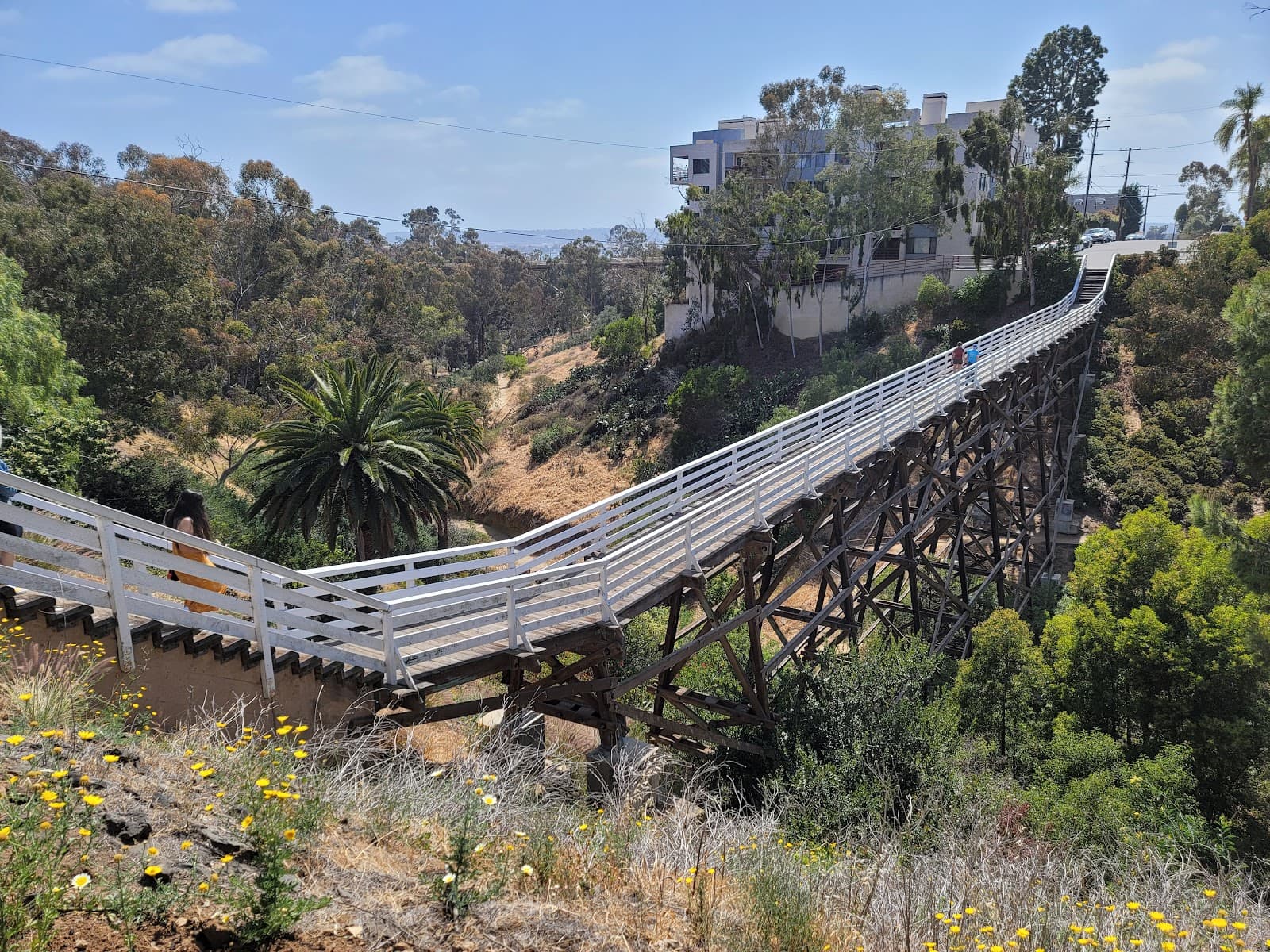 Quince Street Bridge - Image 1