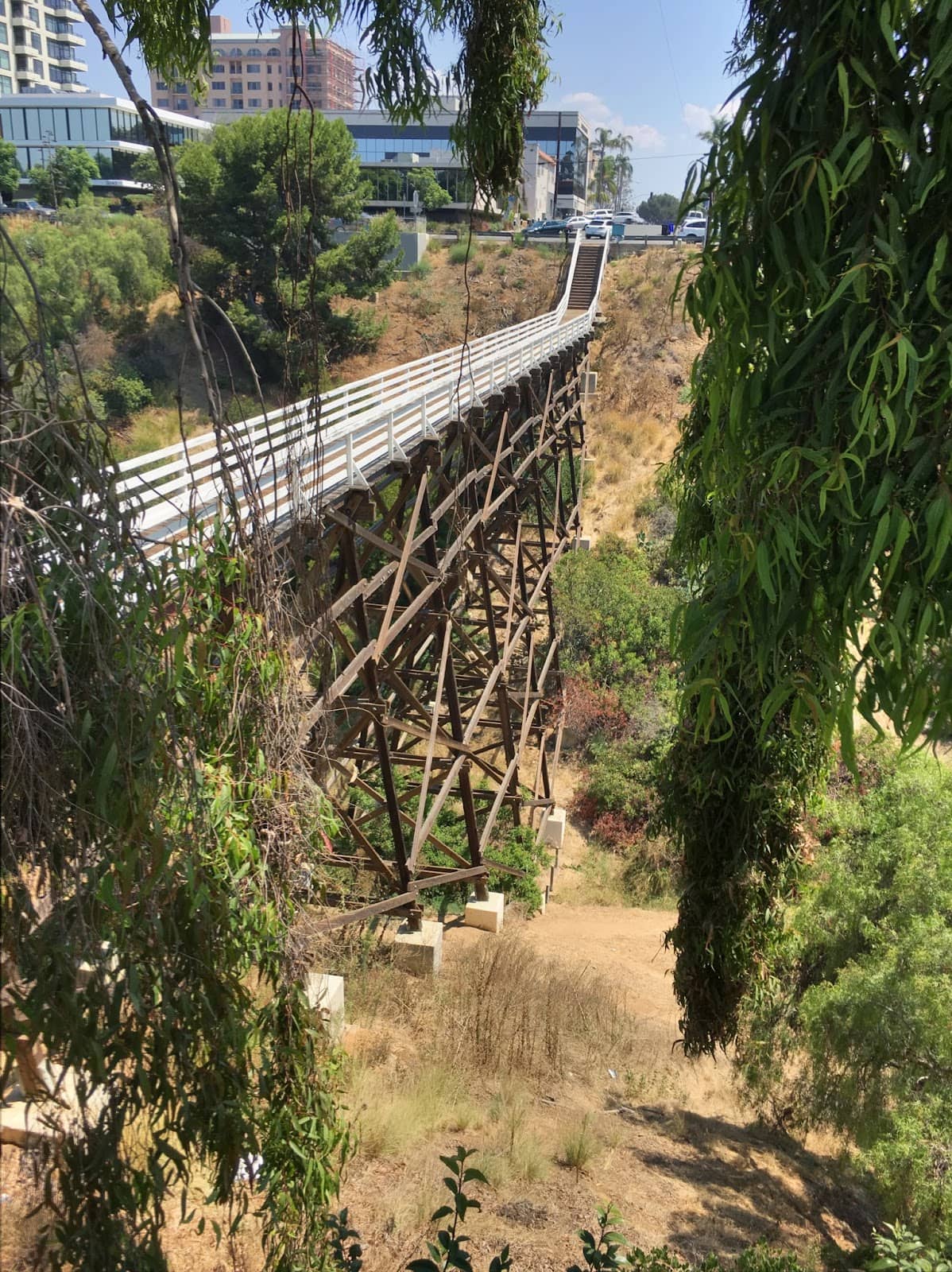Vertical photo
