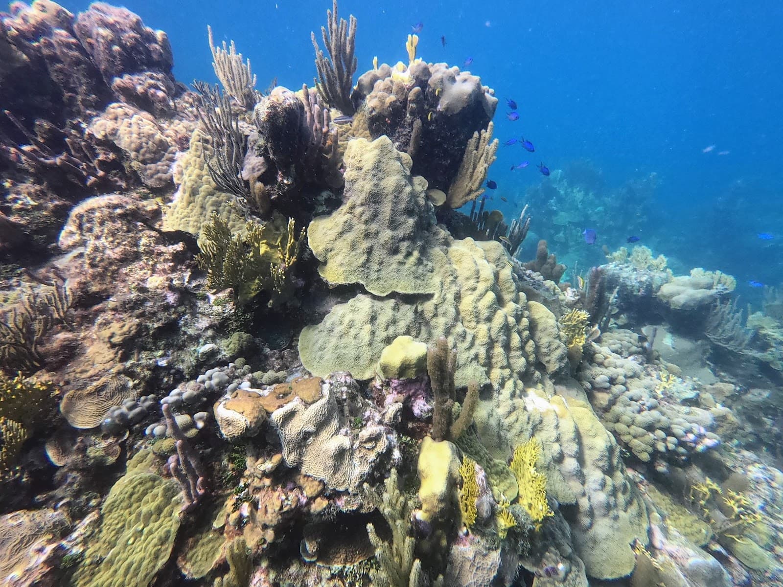 Samuel's Bay Marine Park - Image 1