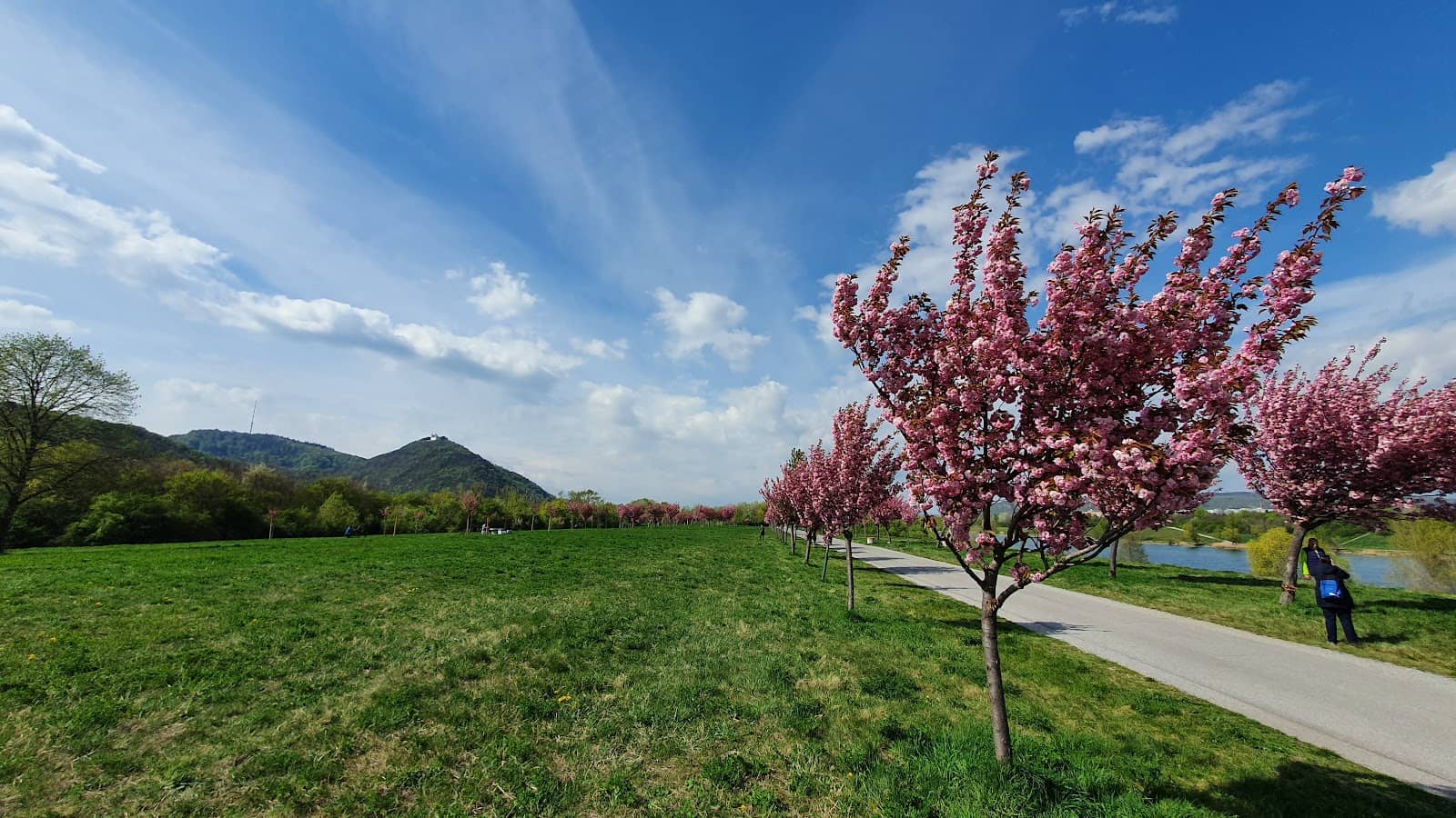 Picnic and Relaxation Spots