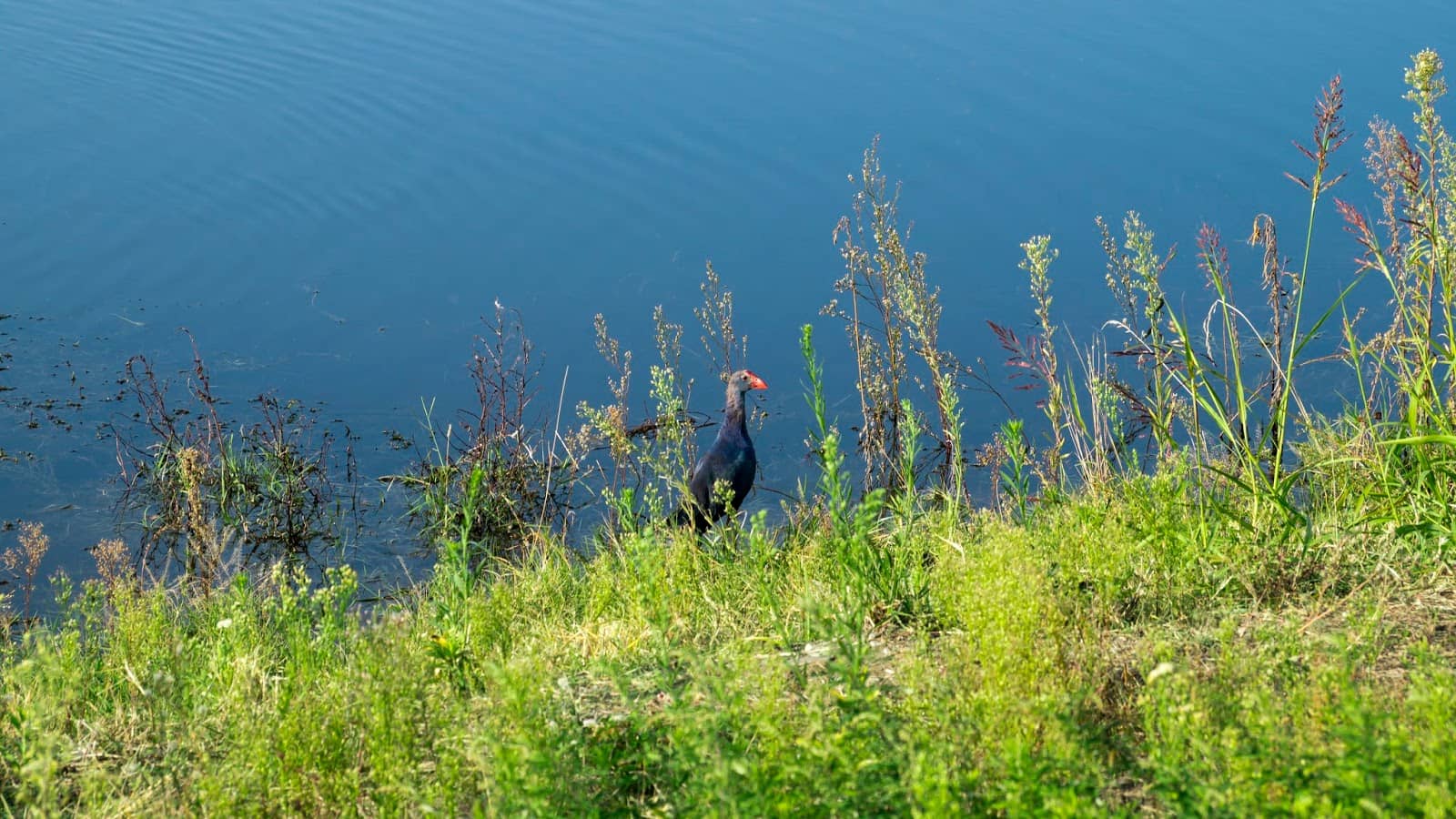 Sports and Leisure Facilities