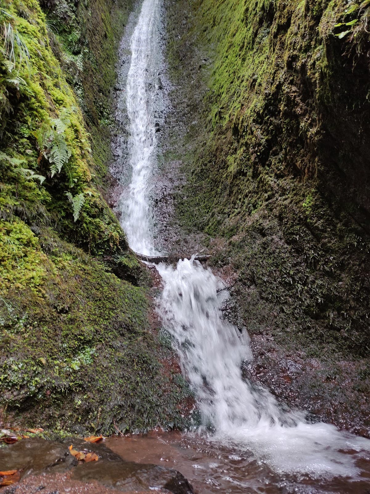 Levada do Norte São Vicente Madeira - Image 1
