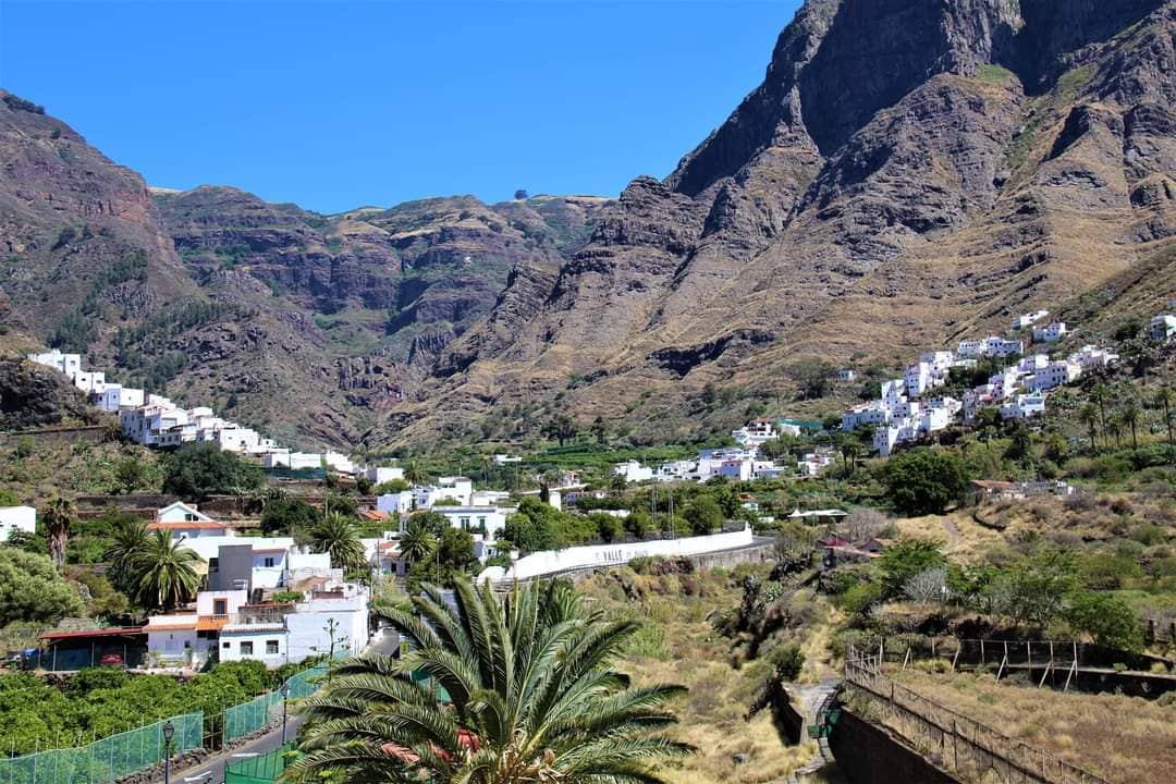 La Rama Festival