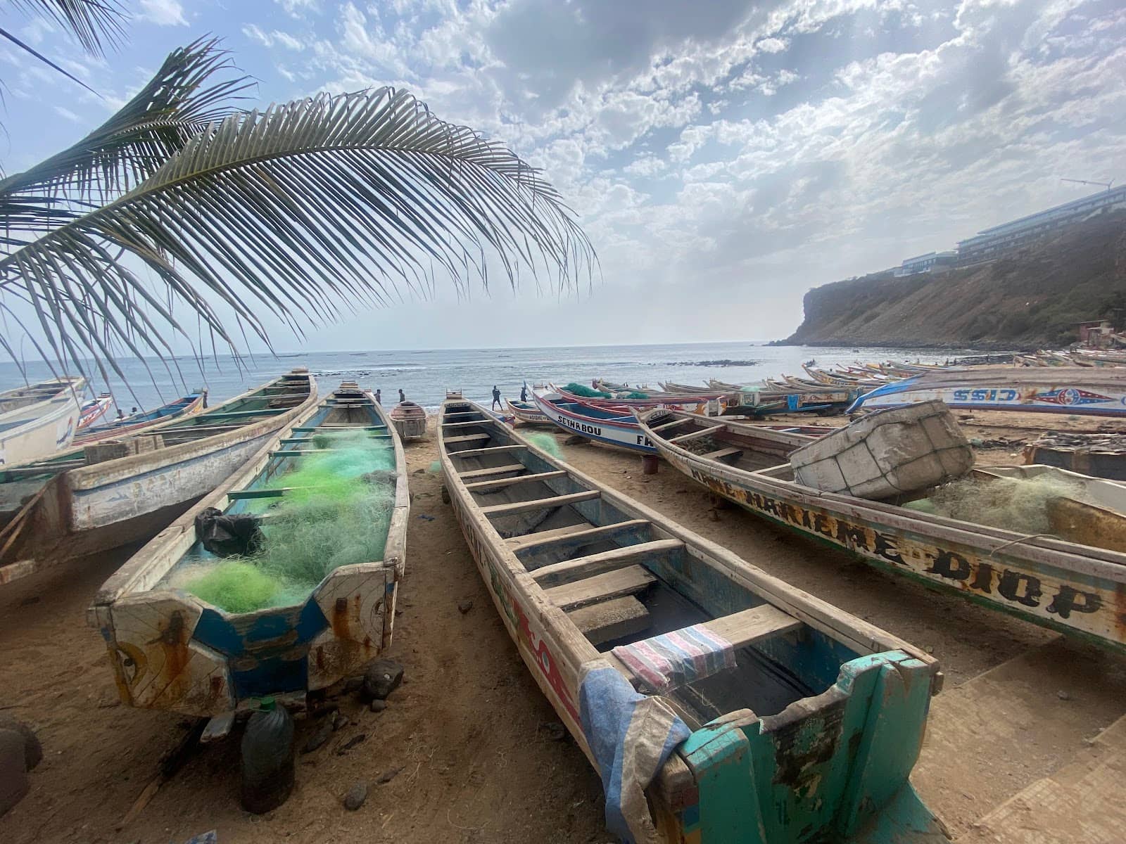 Surfing & Ocean Waves