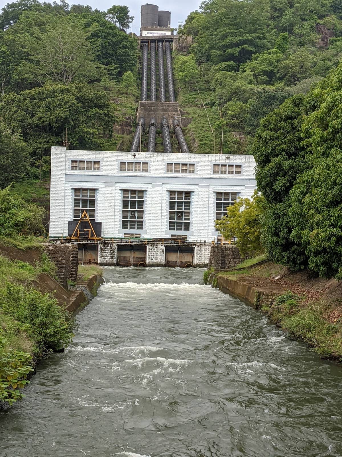 Vertical photo