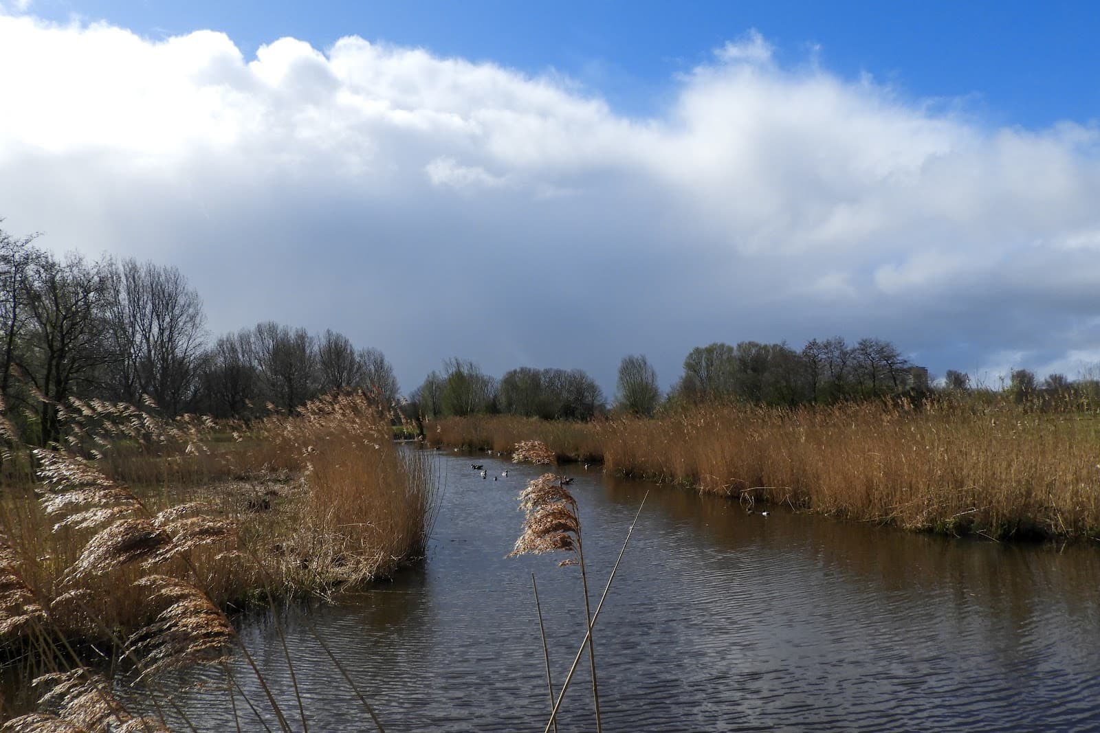 Polderpark Cronesteyn - Image 1