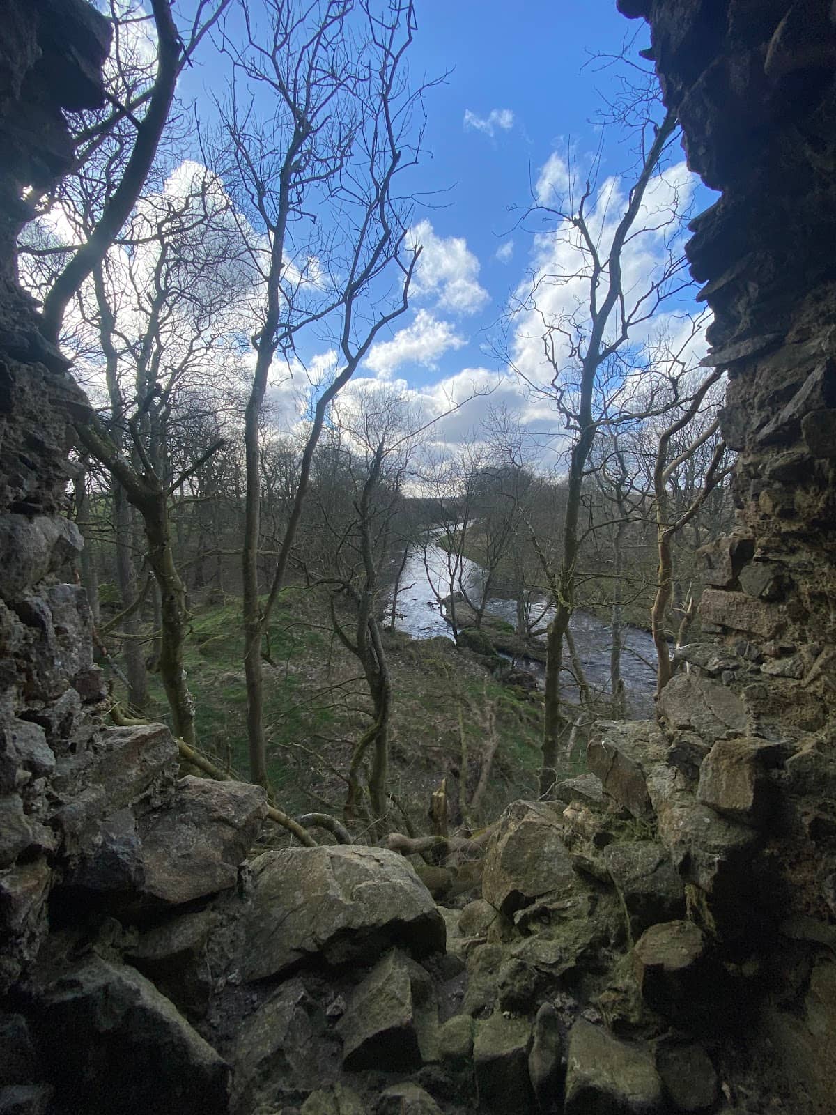Vertical photo