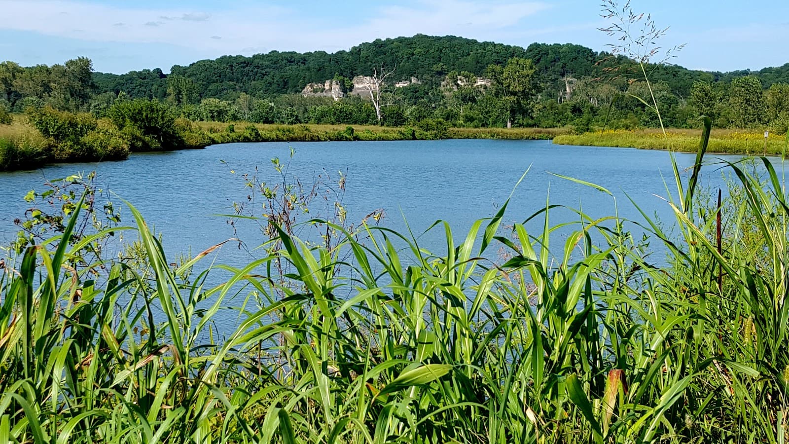 Eagle Bluffs Conservation Area - Image 1