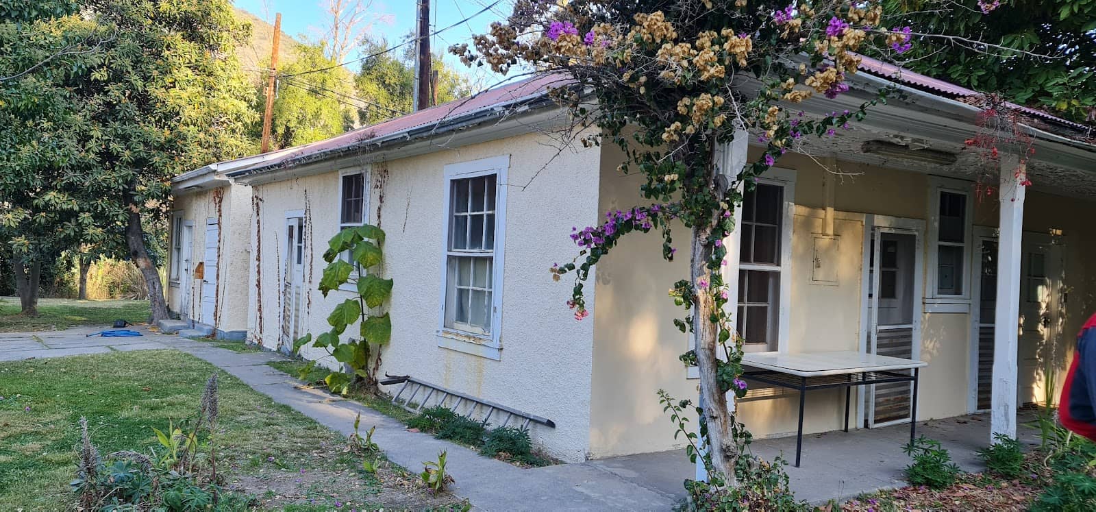 Lively Ambiance with Music