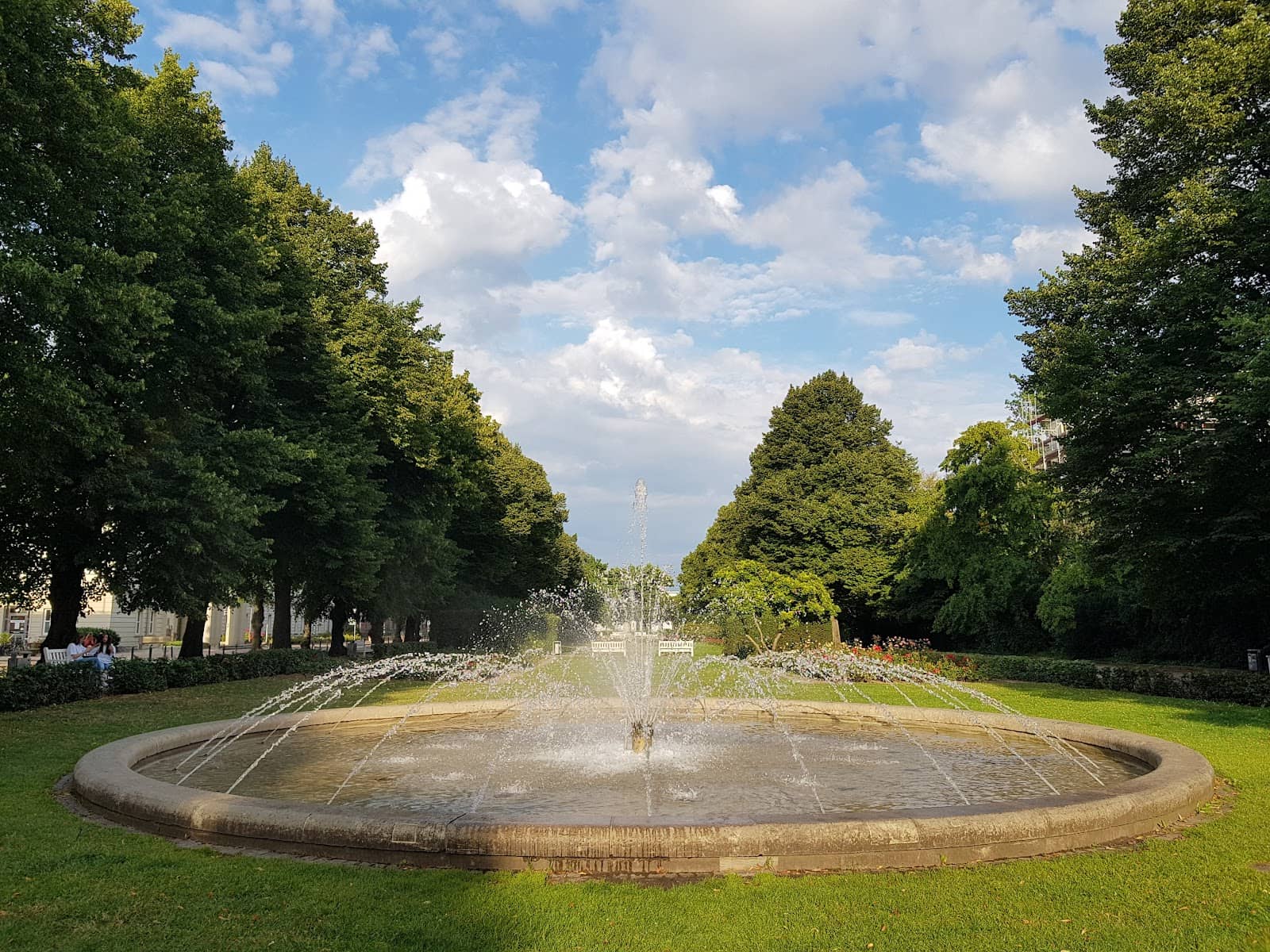 Peaceful Green Oasis
