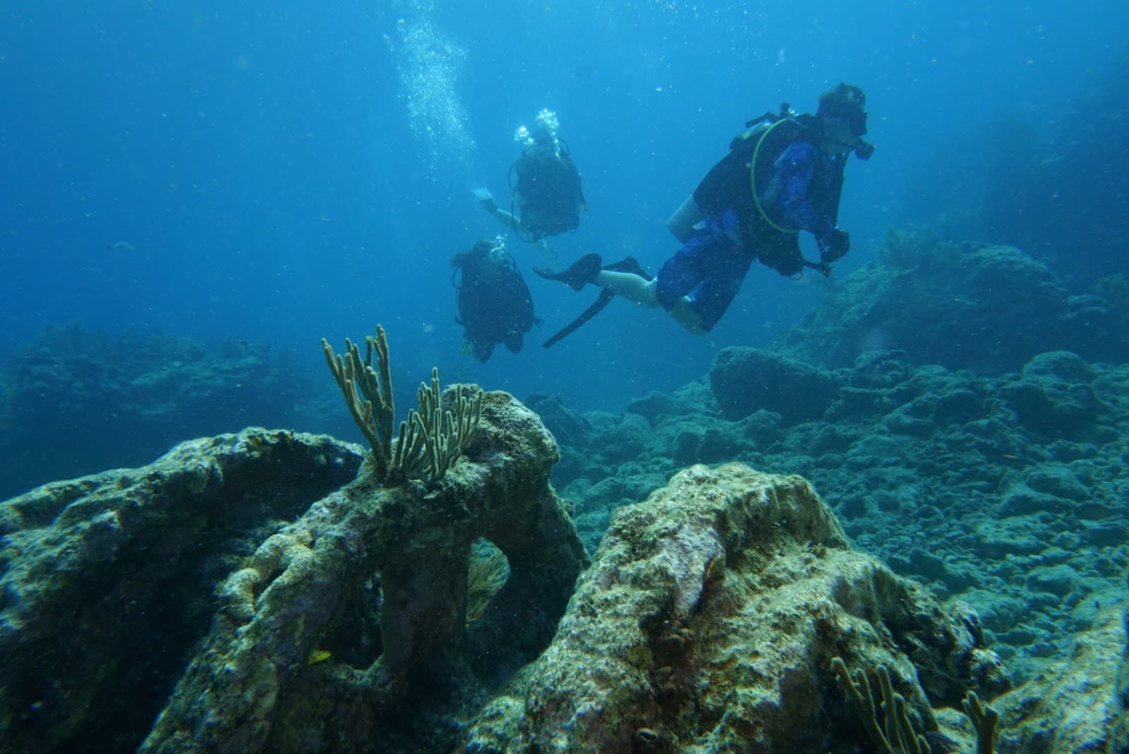 Molasses Reef - Image 1