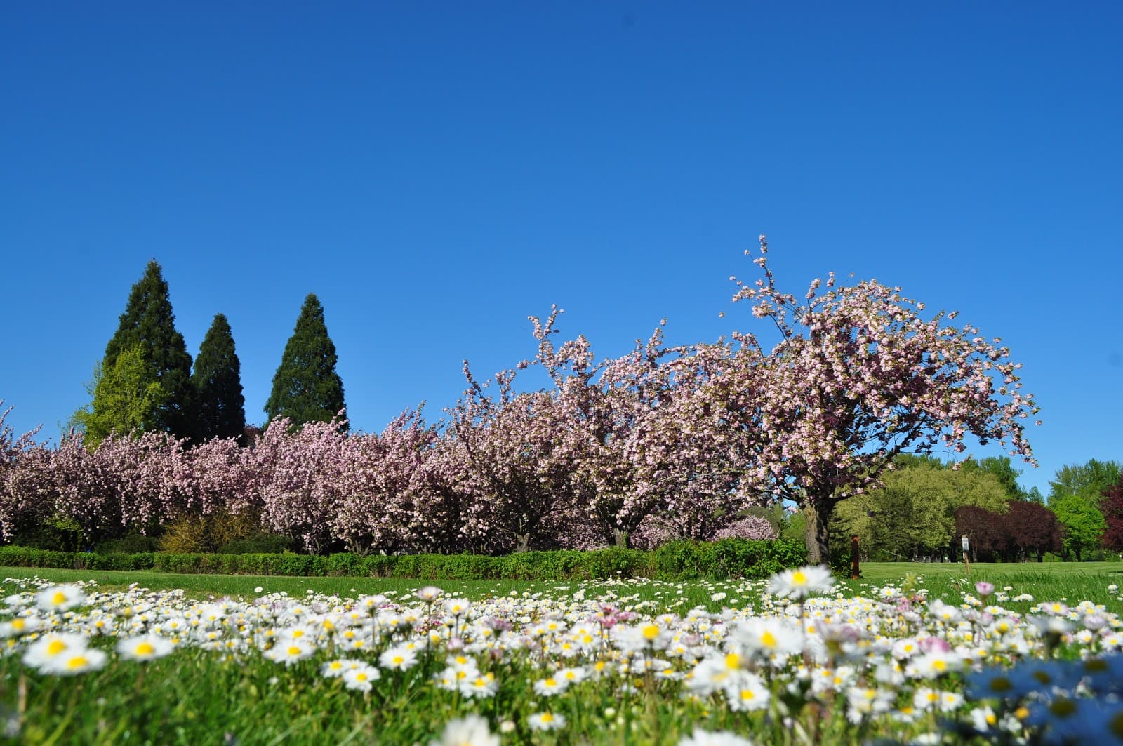 Blue Lake Regional Park - Image 1