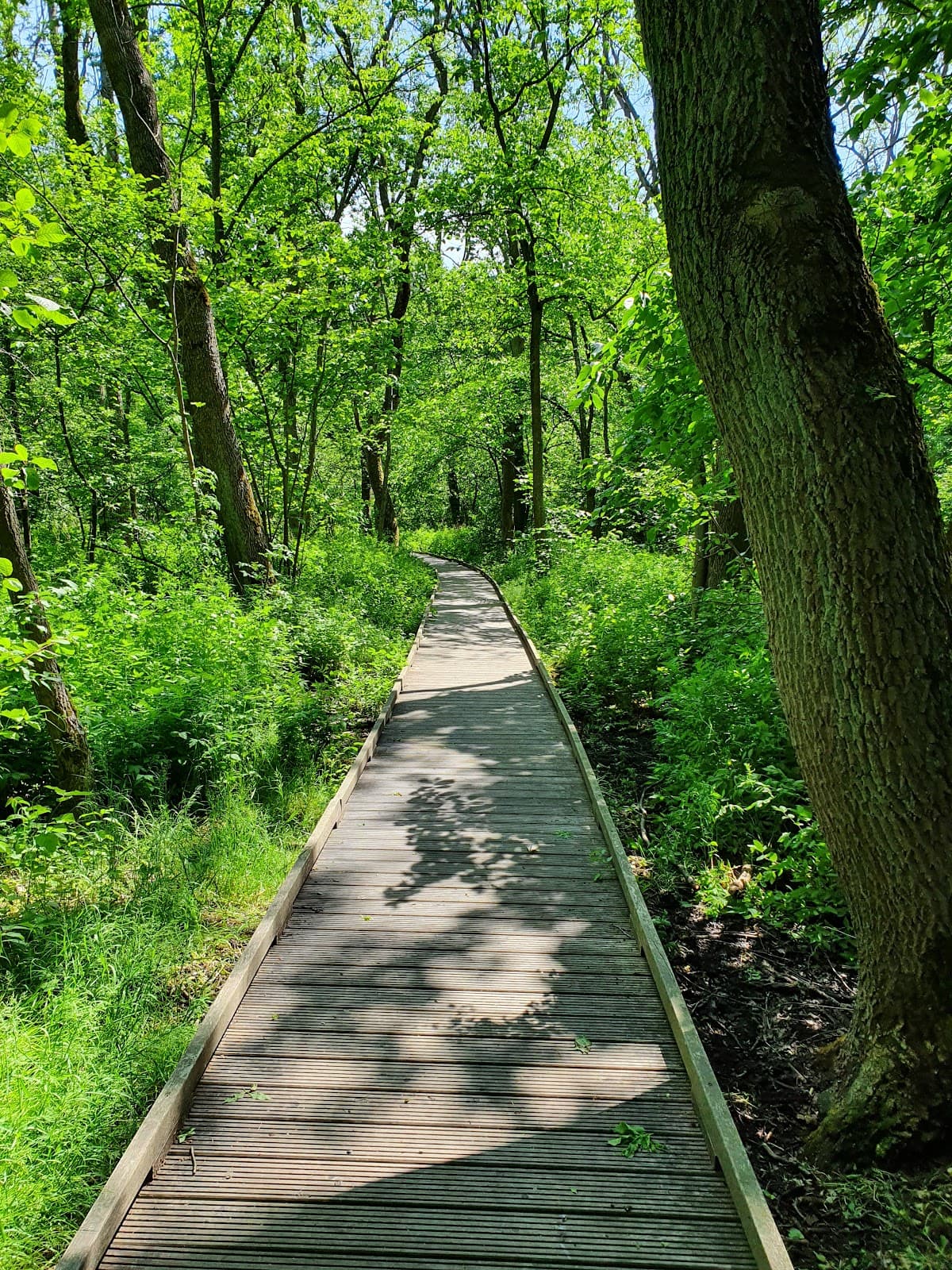 Rya Nabbe Nature Reserve - Image 1