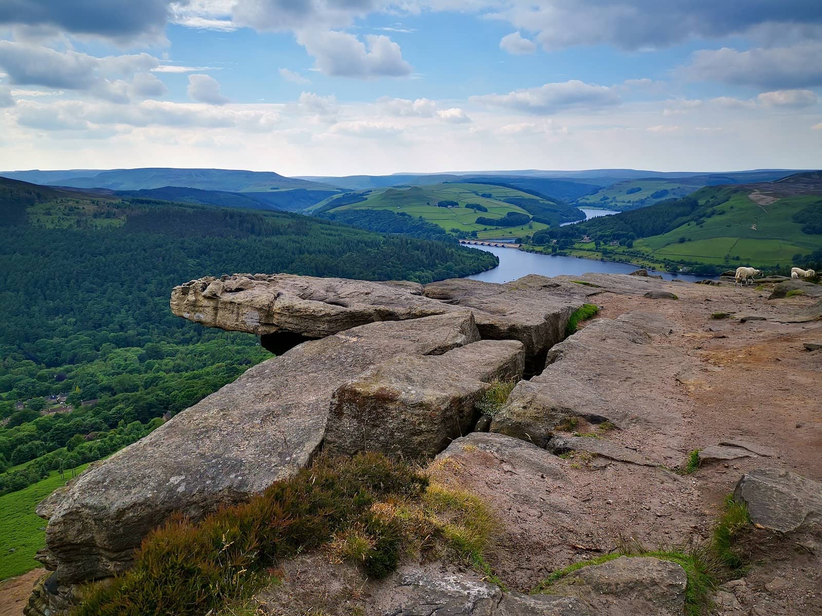 Rocky Terrain Adventure