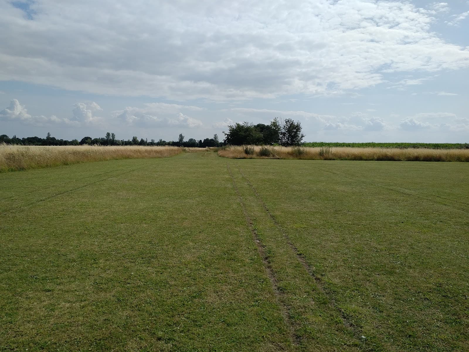 Gosbecks Archaeological Park - Image 1