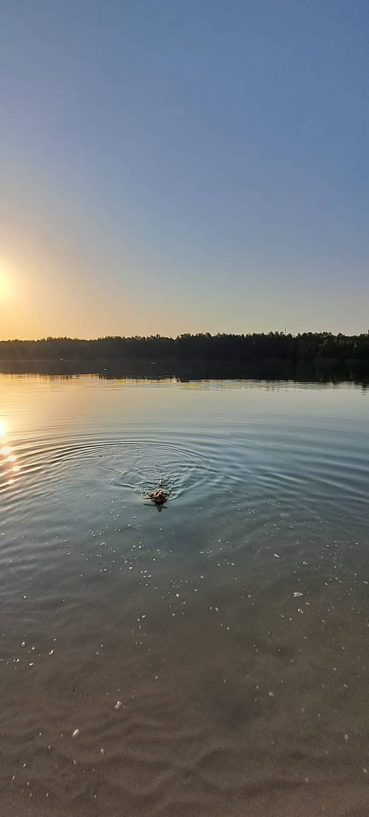 Lommel SK Football Club