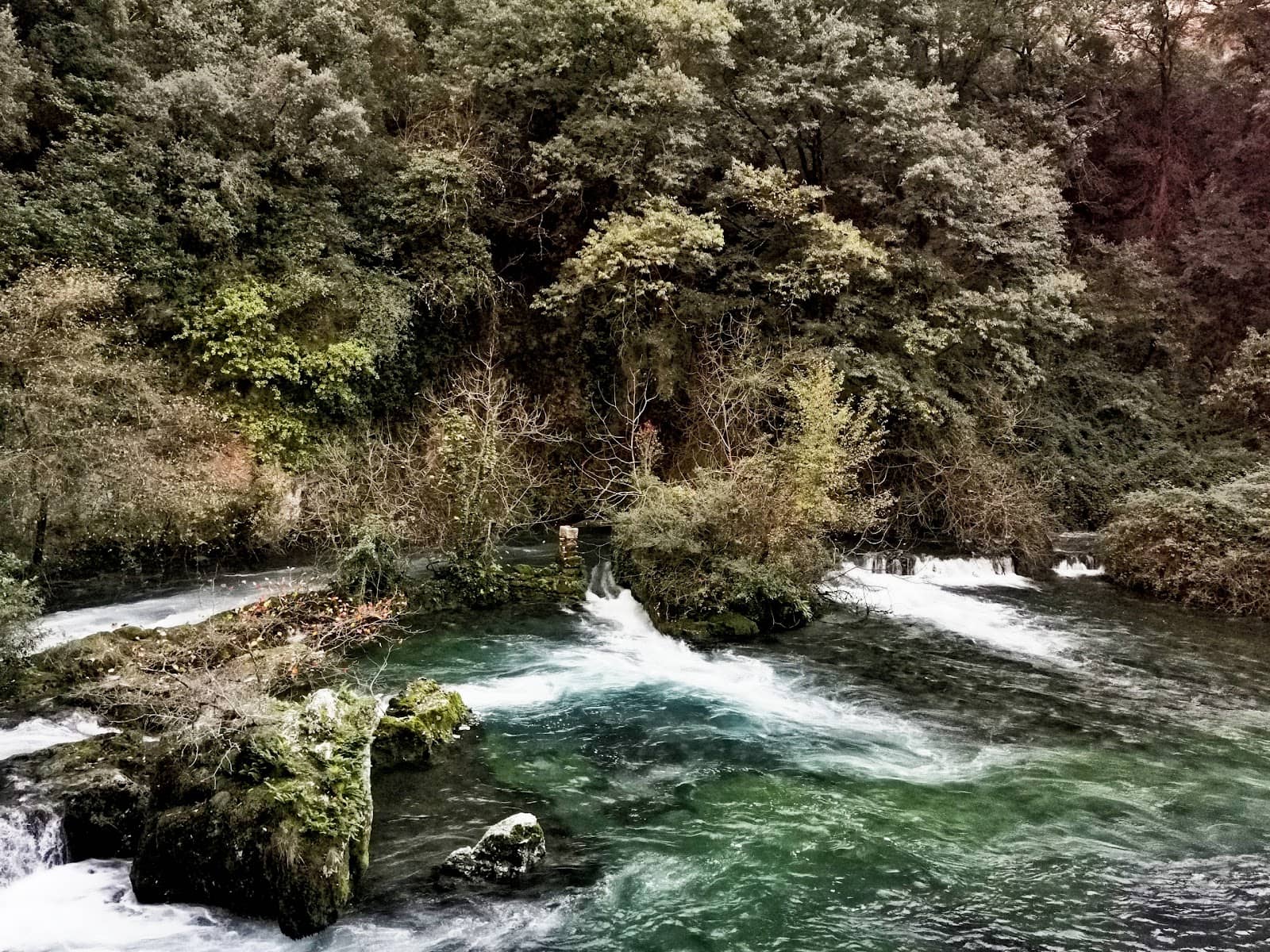 Kayaking on the Sorgue