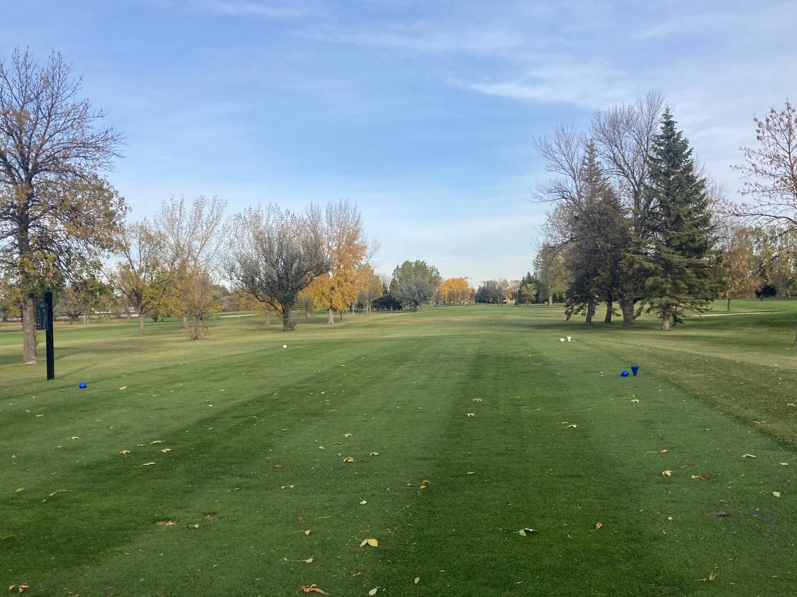 Spring Reopening Comeback