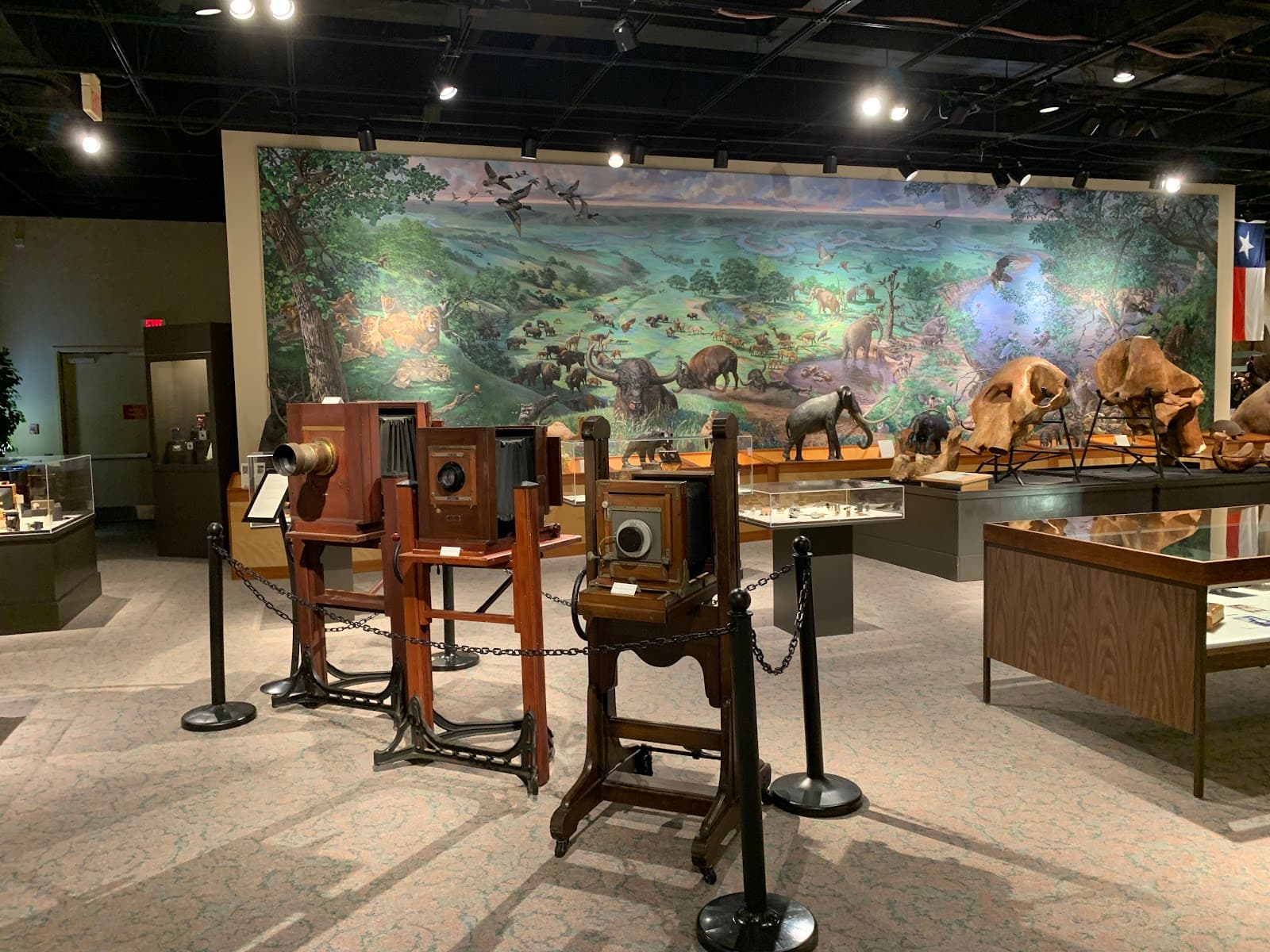 Brazos Valley Museum of Natural History - Image 1