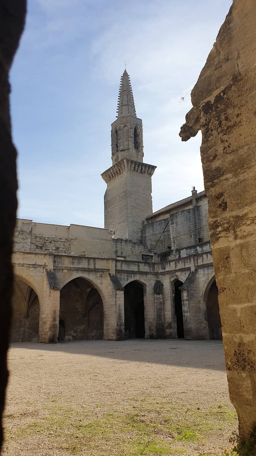 Vertical photo