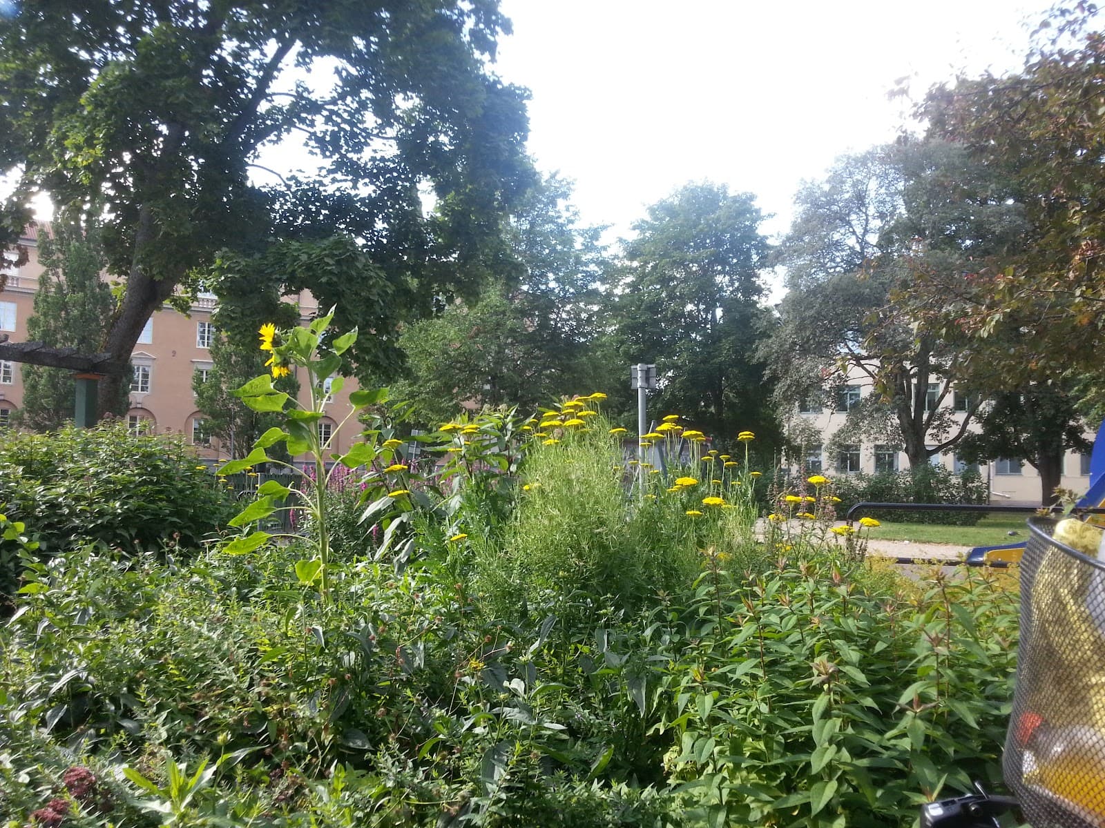 Oskarsparken - Image 1