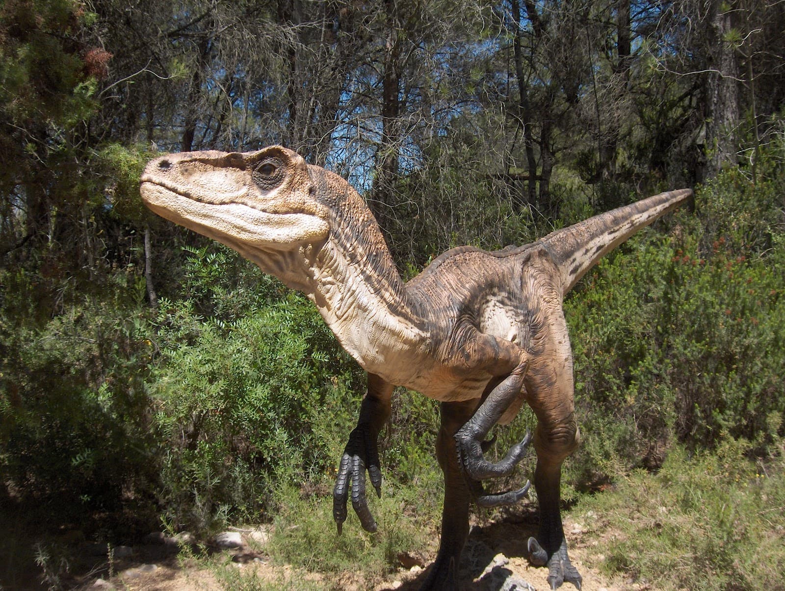 Mèze Dinosaur Park - Image 1