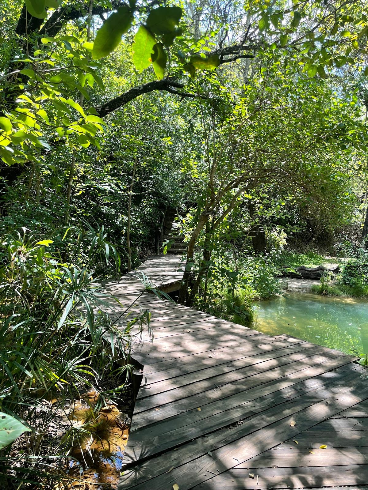 Monkey Pools (Chongwe) - Image 1
