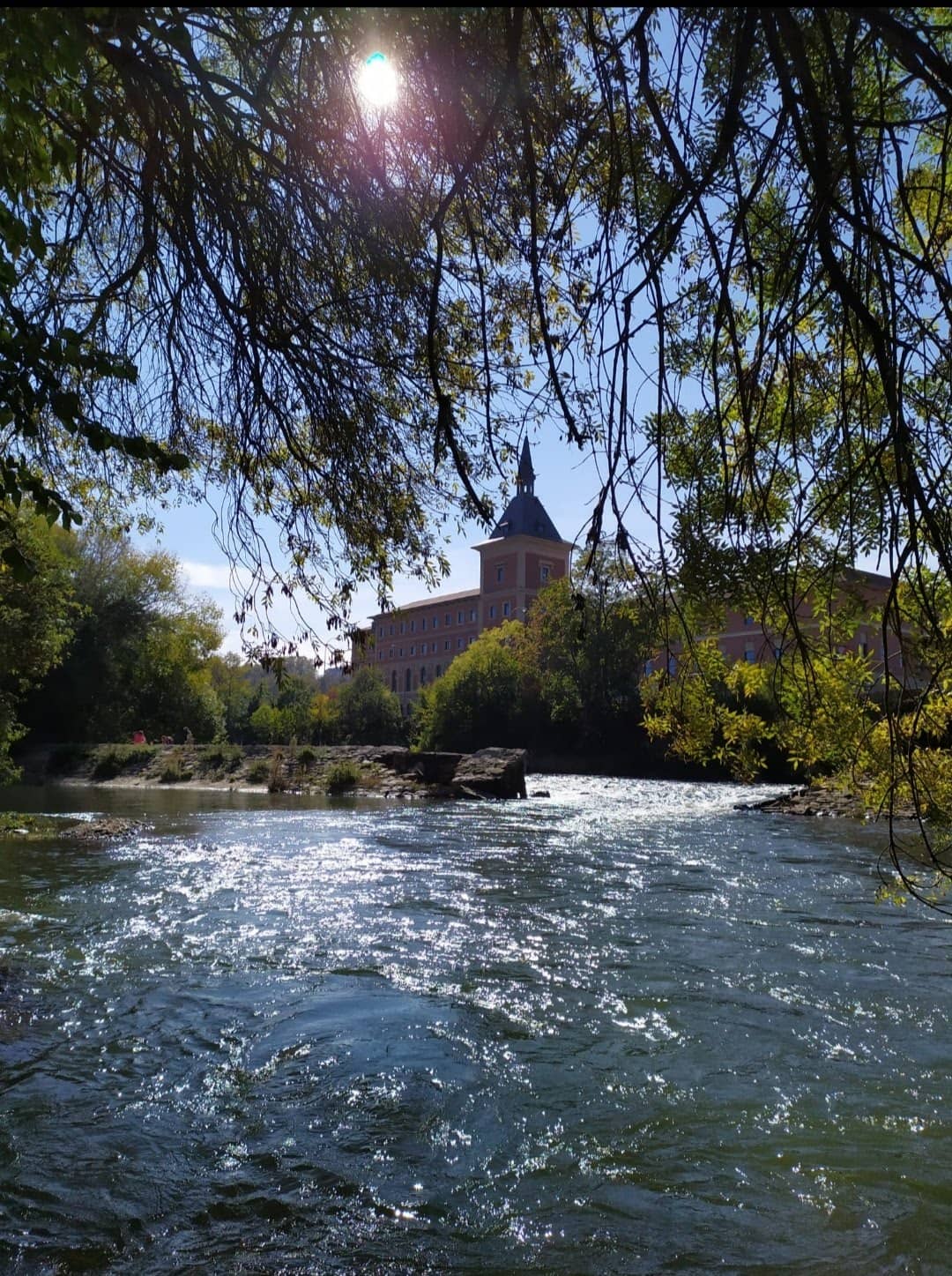 Vertical photo